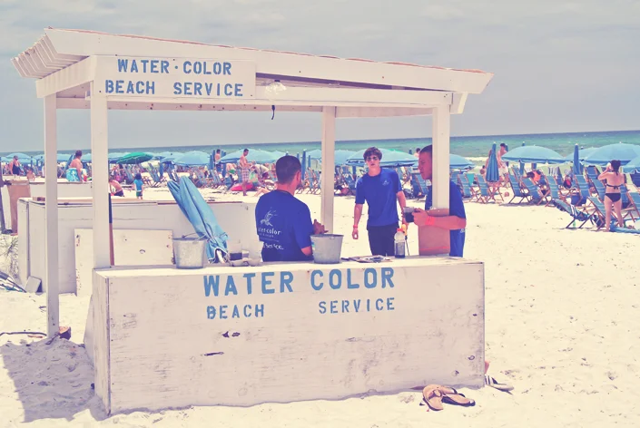 A Pretty Picture: Watercolor, Florida