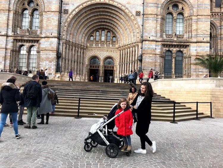My London | Highlights of the Natural History Museum