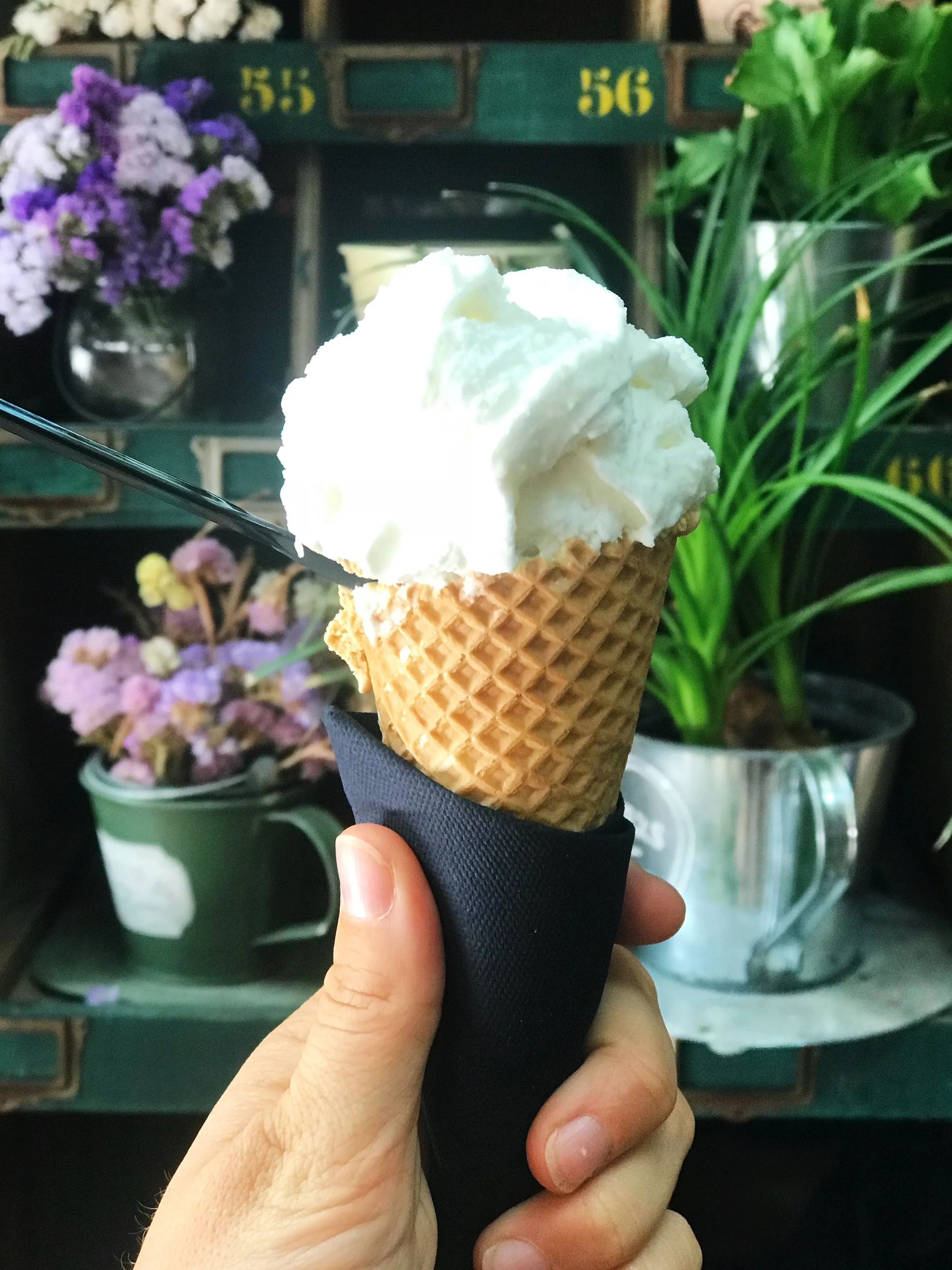 My Barcelona | El Nacionel