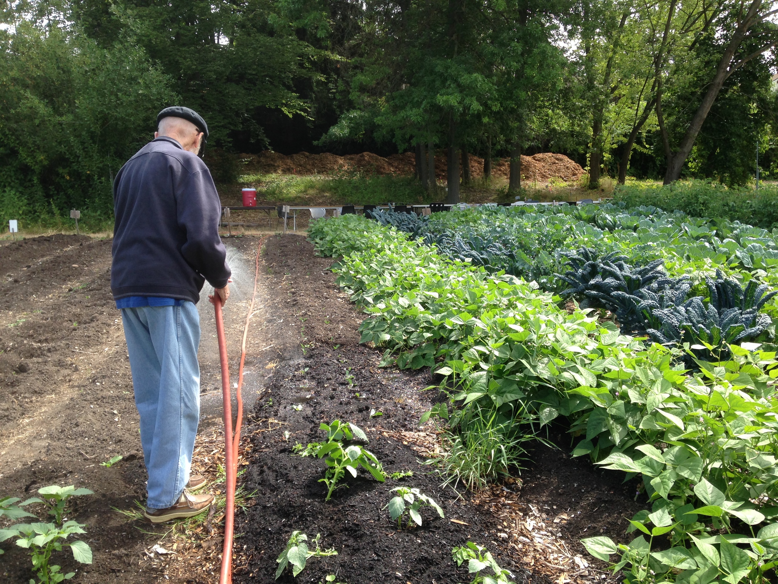 farm - mike todd watering.JPG