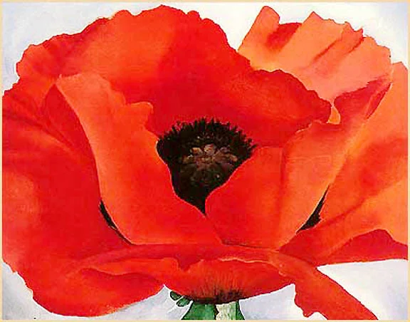 o'keeffe 1.jpg