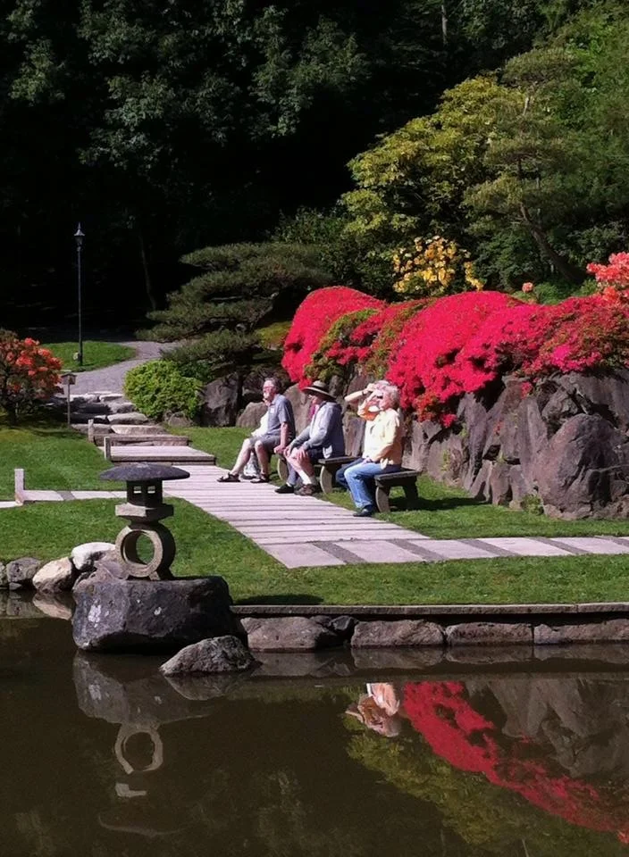 Art in the Park.jpeg