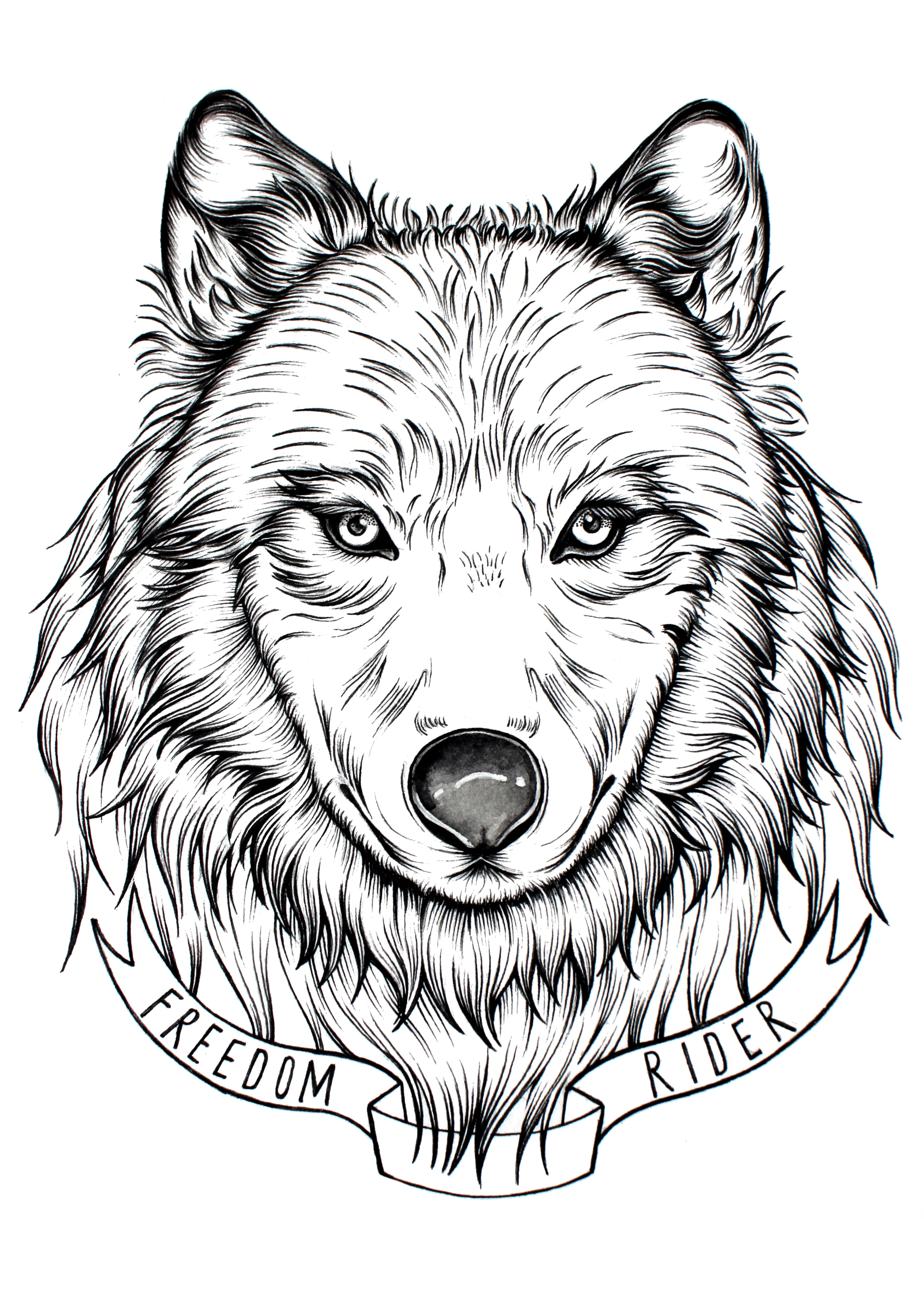 T-shirt design for clothing brand 'Freedom Rider'