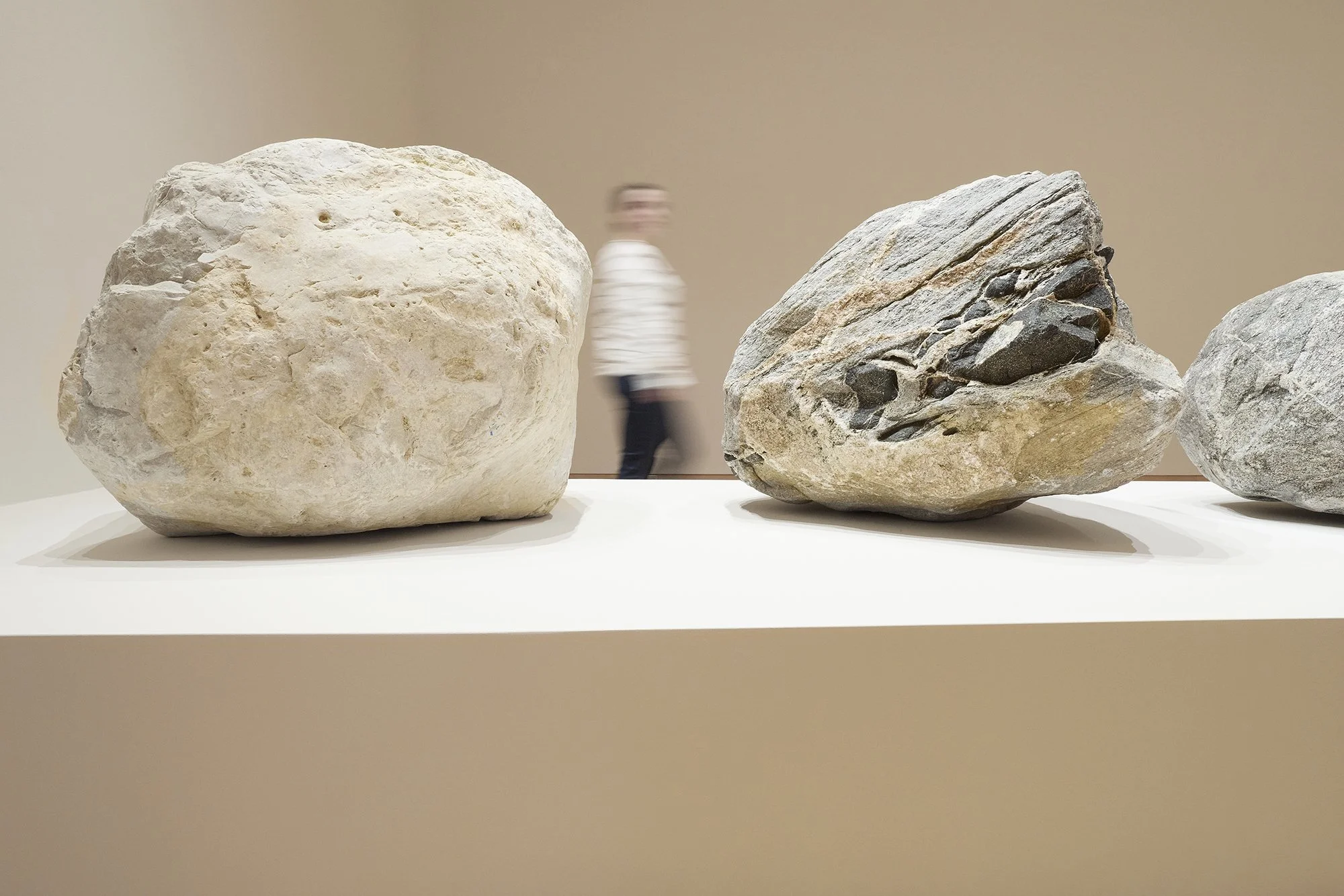 ex.roc.2026.0146 copy.jpg