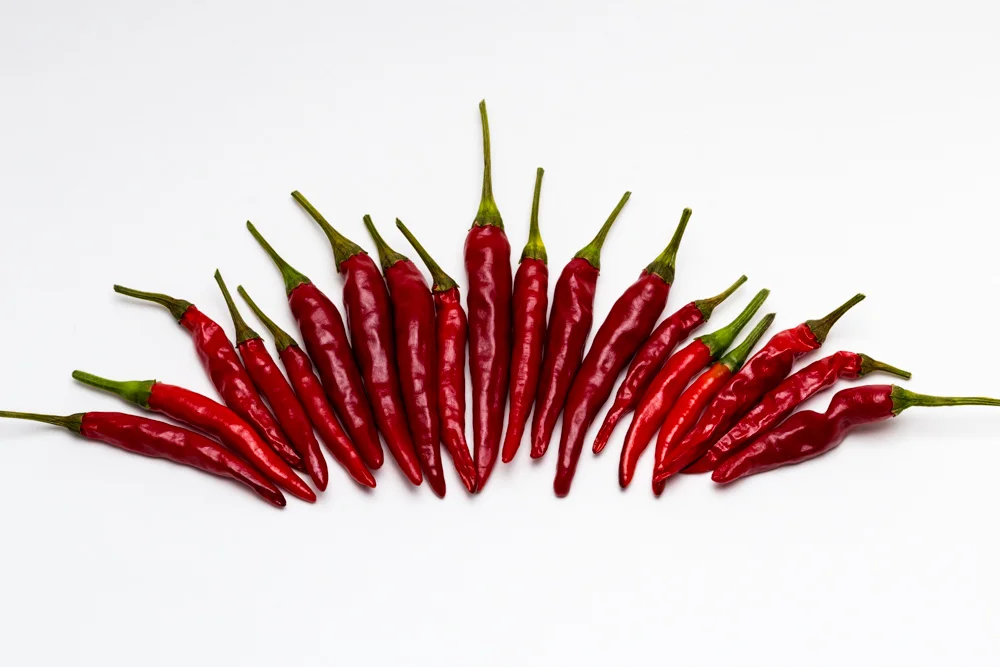 san diego food photography