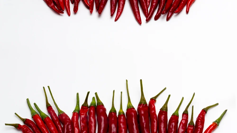 san diego food photographer