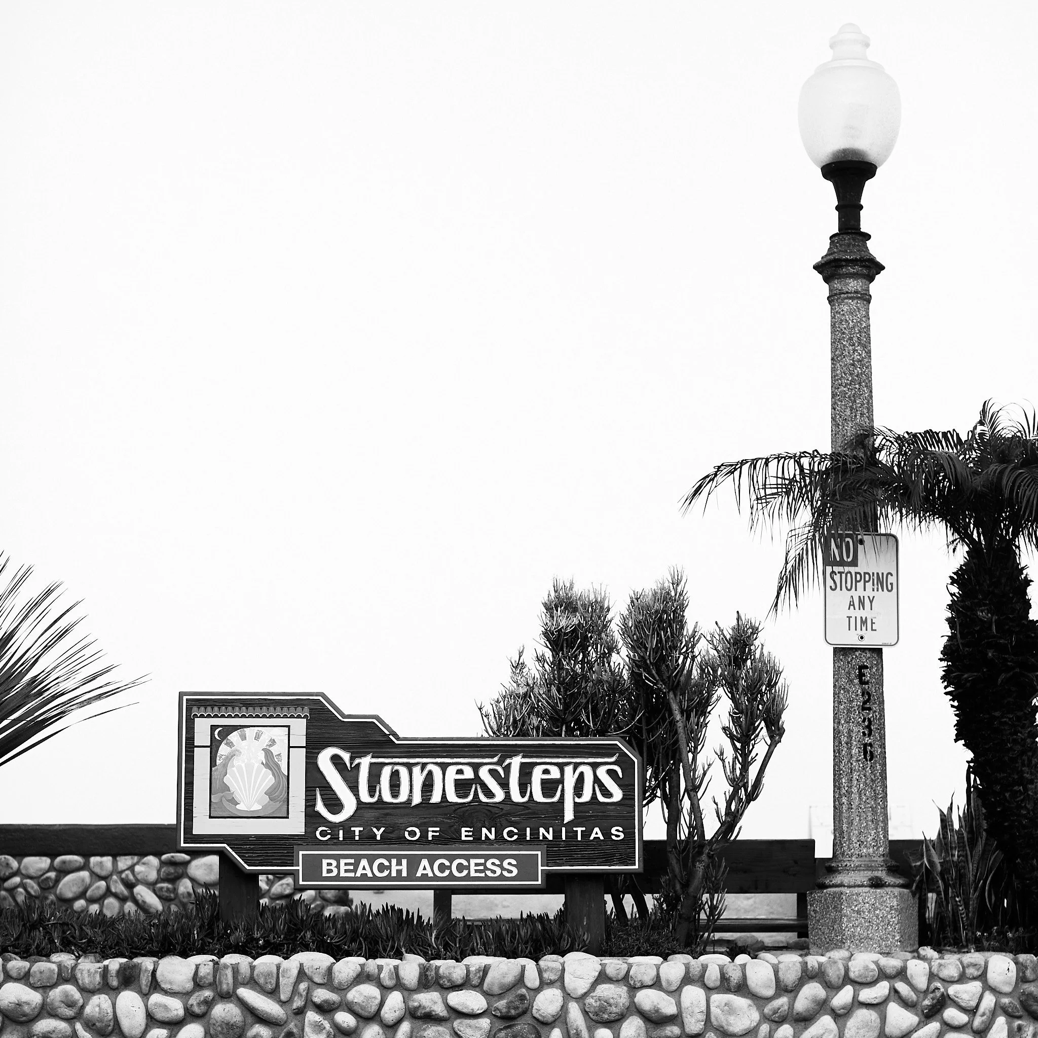 _A0A0428_JPEG - 2048px for web use_016.jpg