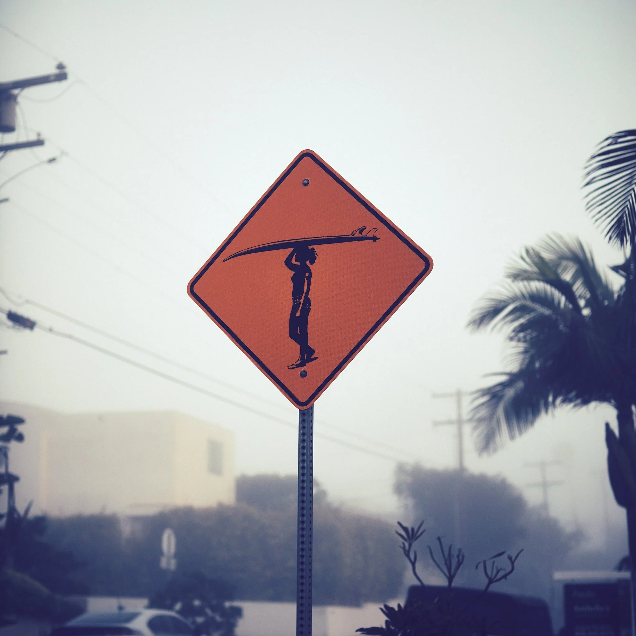 _A0A0497_JPEG - 2048px for web use_033.jpg