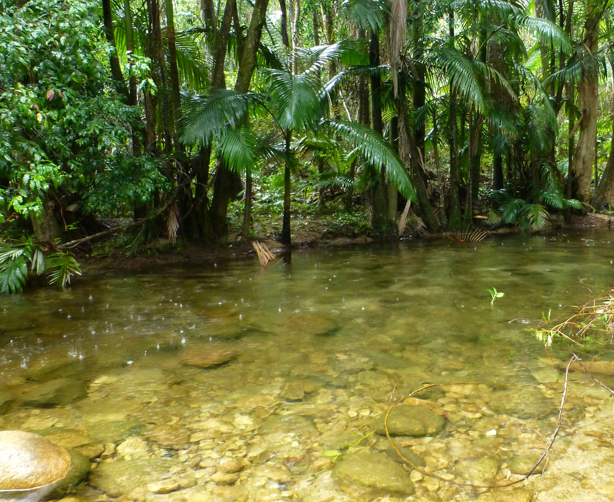 near Mackay, Queensland, May 2014.