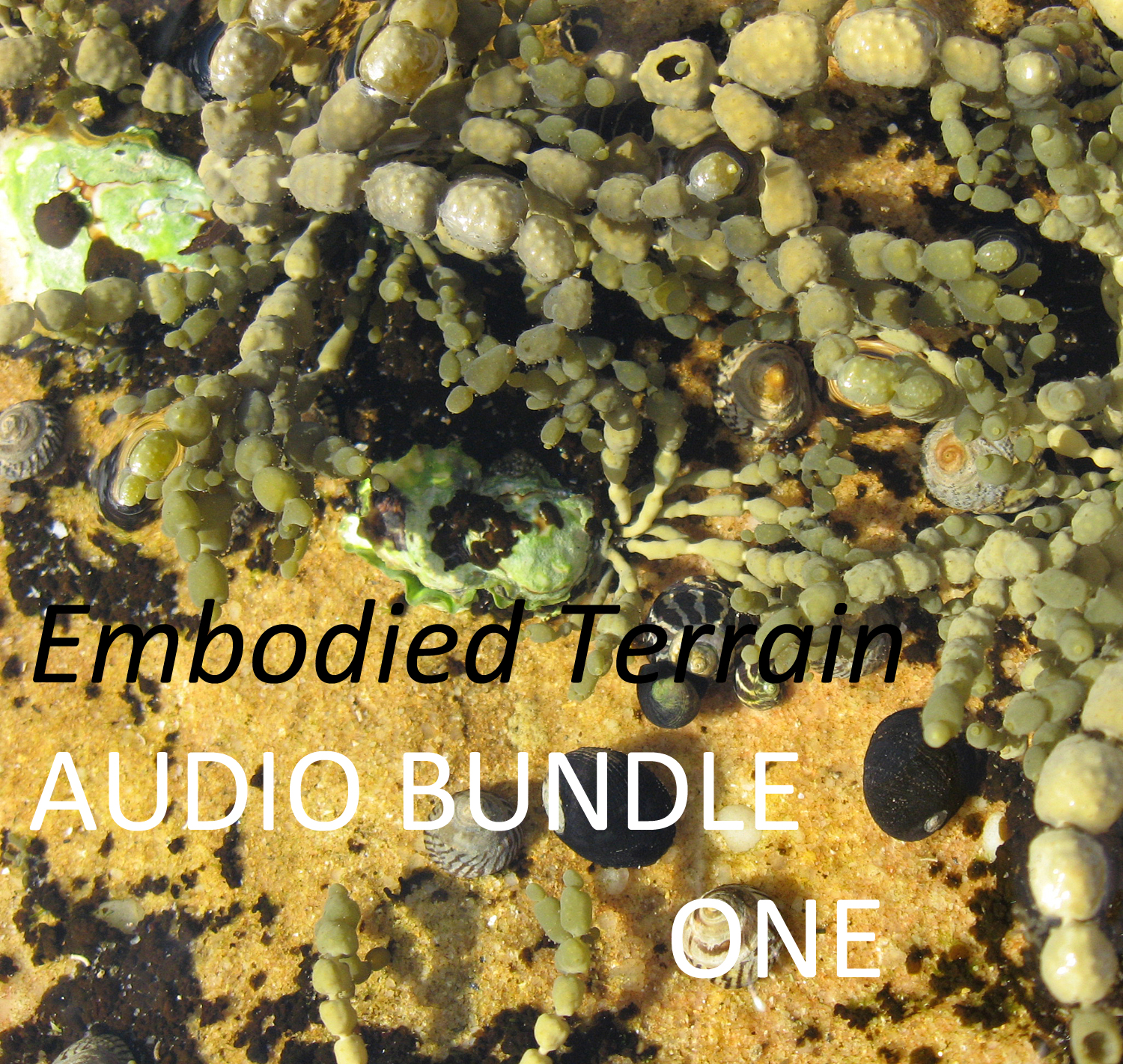 audio meditation bundle