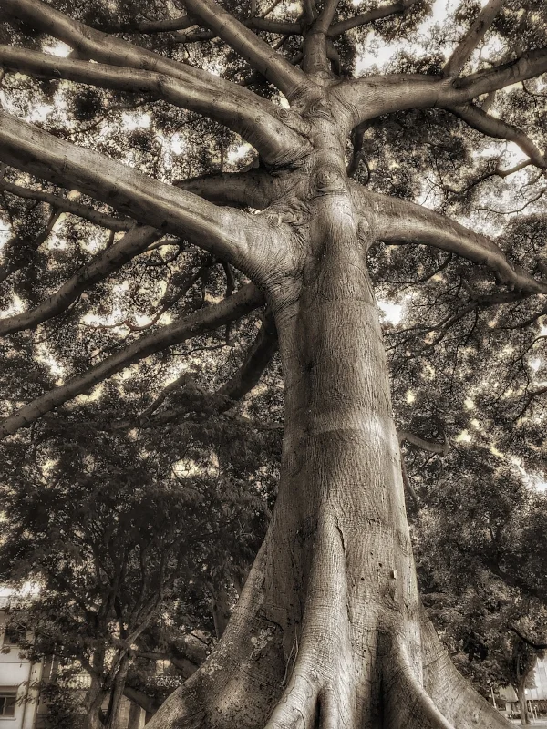 yoga teacher training brisbane