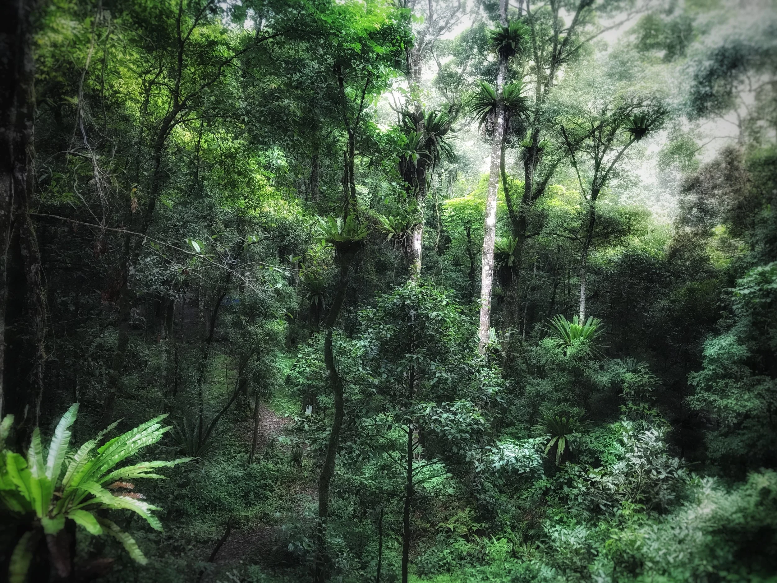 Entering Sacred Space