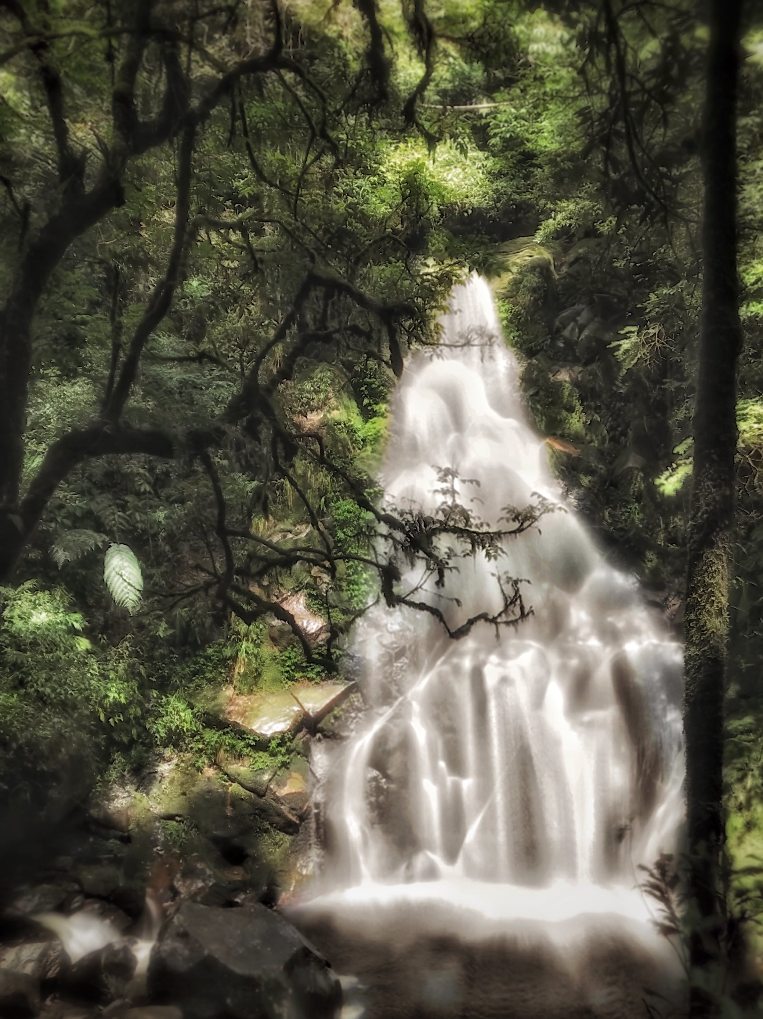 Male Waterfall