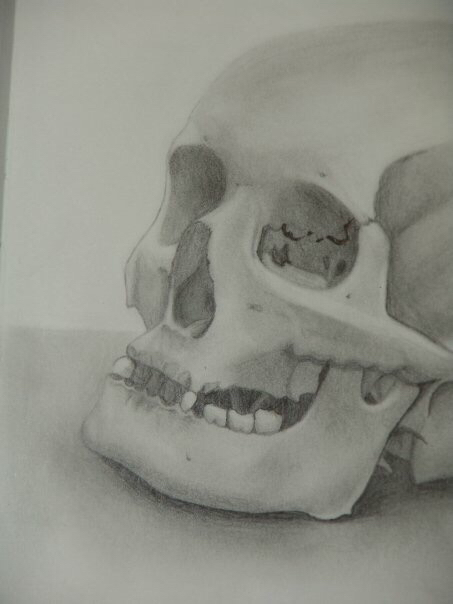 Sketches_Missy_Robbs_Skull.jpeg