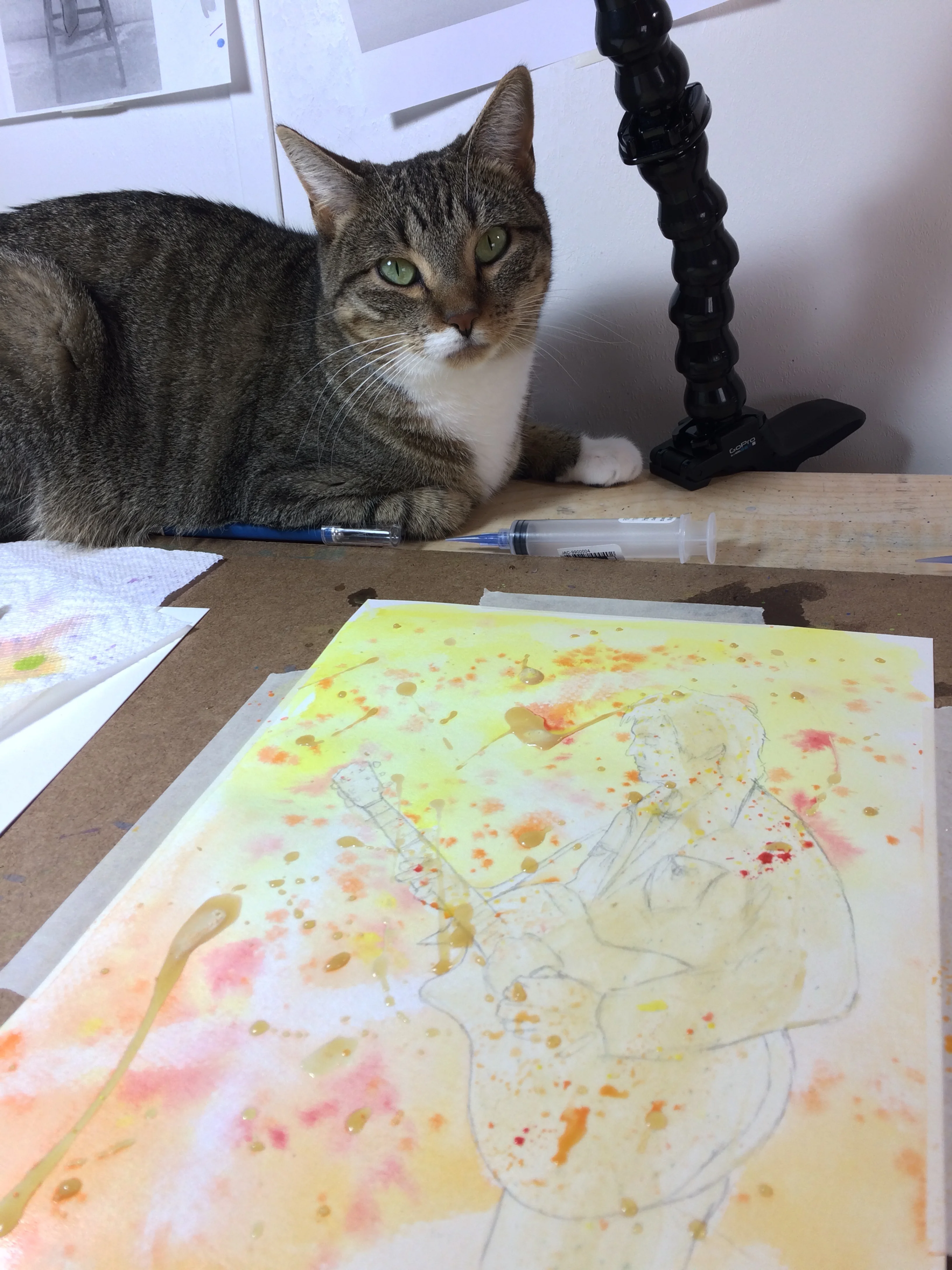 Studio Kitty!