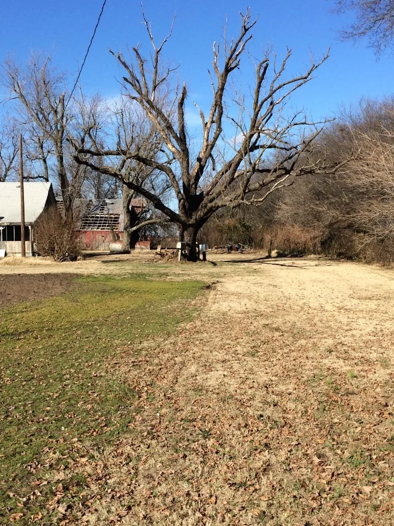 Tucker Walnut December 2014