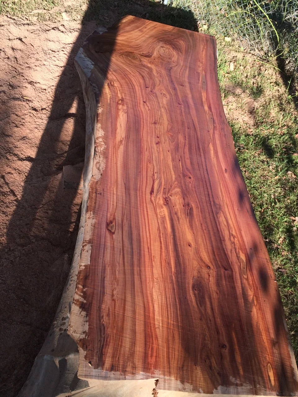 Wood Painting live edge wood slab live edge slab round wood slabs large wood slices burl wood