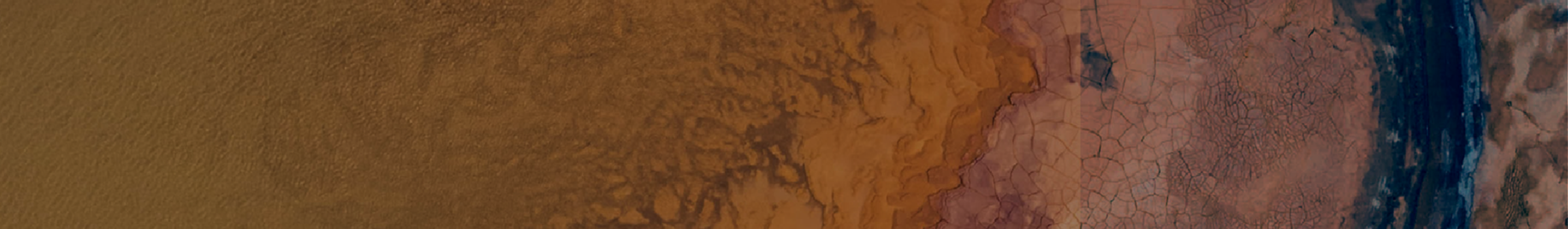 Home.pg.banner.x350.png