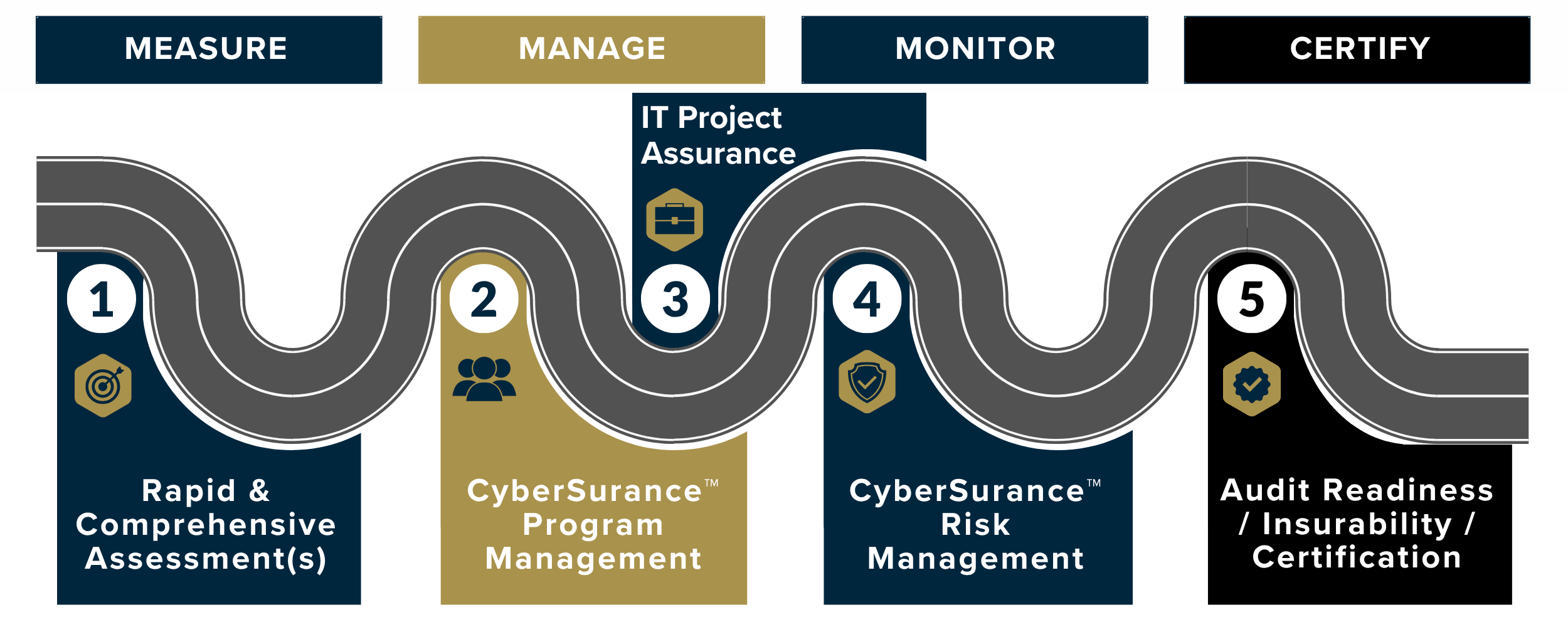 Cyber Risk & IT Advisory Services | Proven Client Journey & Outcomes ...