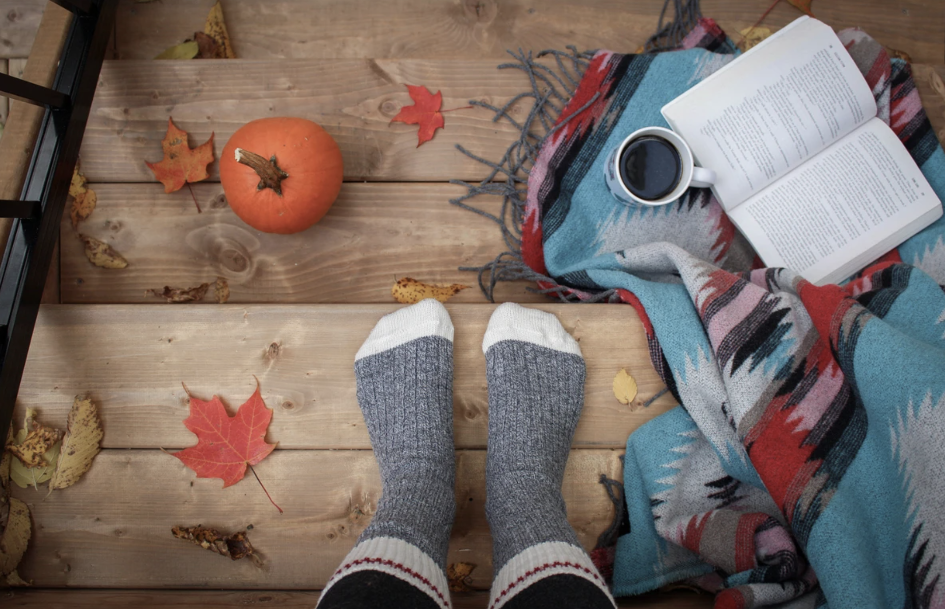 Screen Shot 2020-11-19 at 3.53.21 PM.png