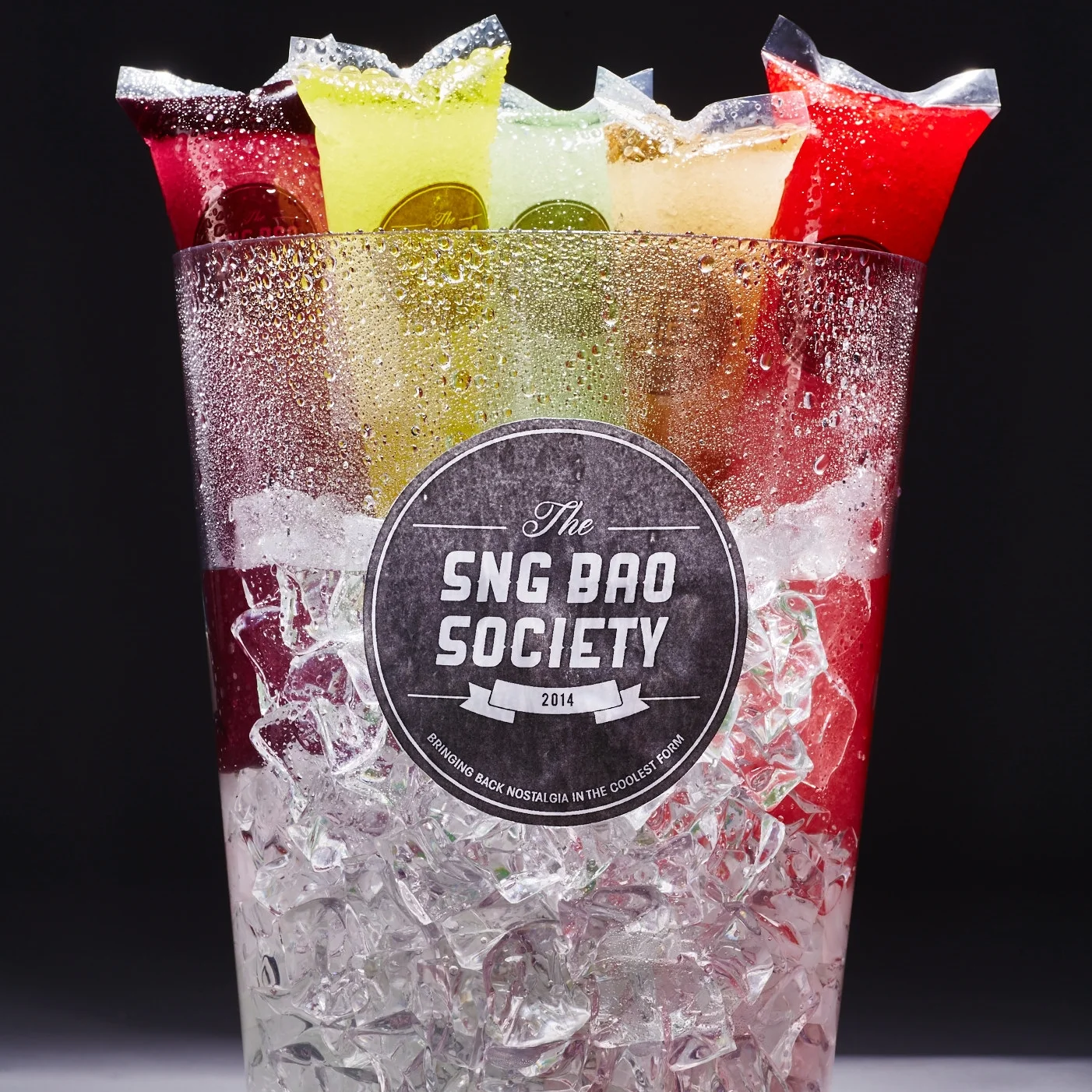 The Sng Bao Society