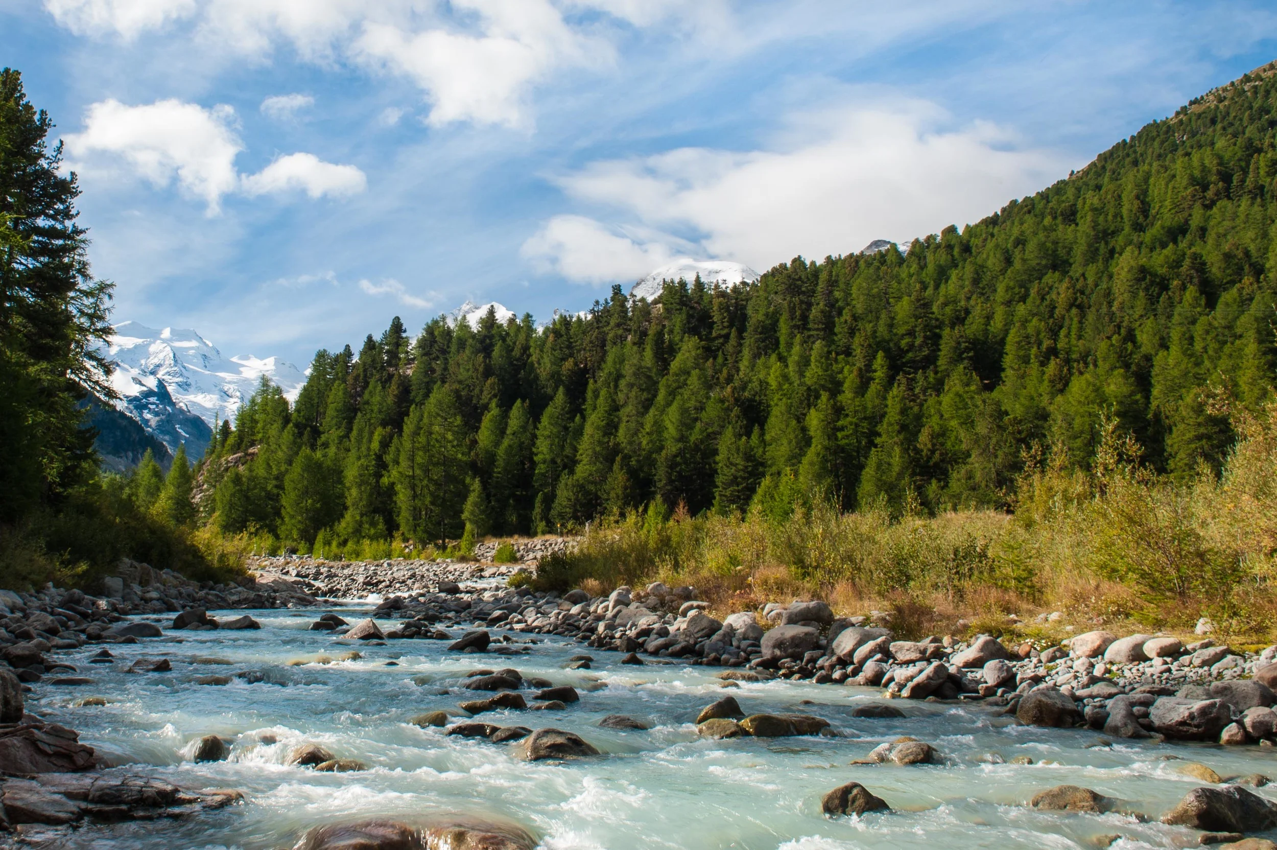_DSC7358.jpg