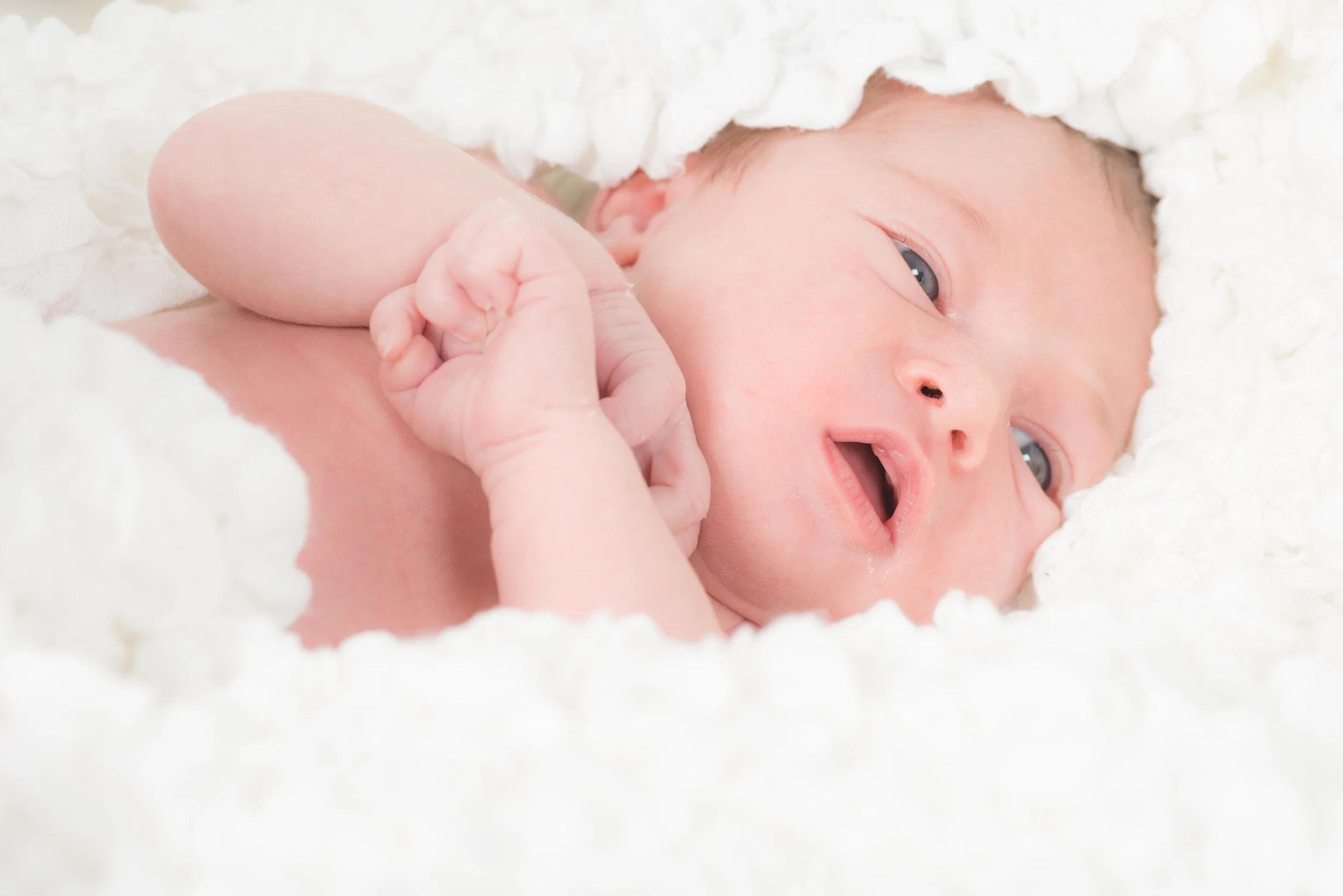 Elea Leonie-4.jpg