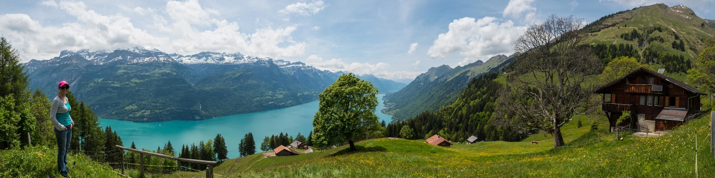 Blick auf den Brienzersee.jpg