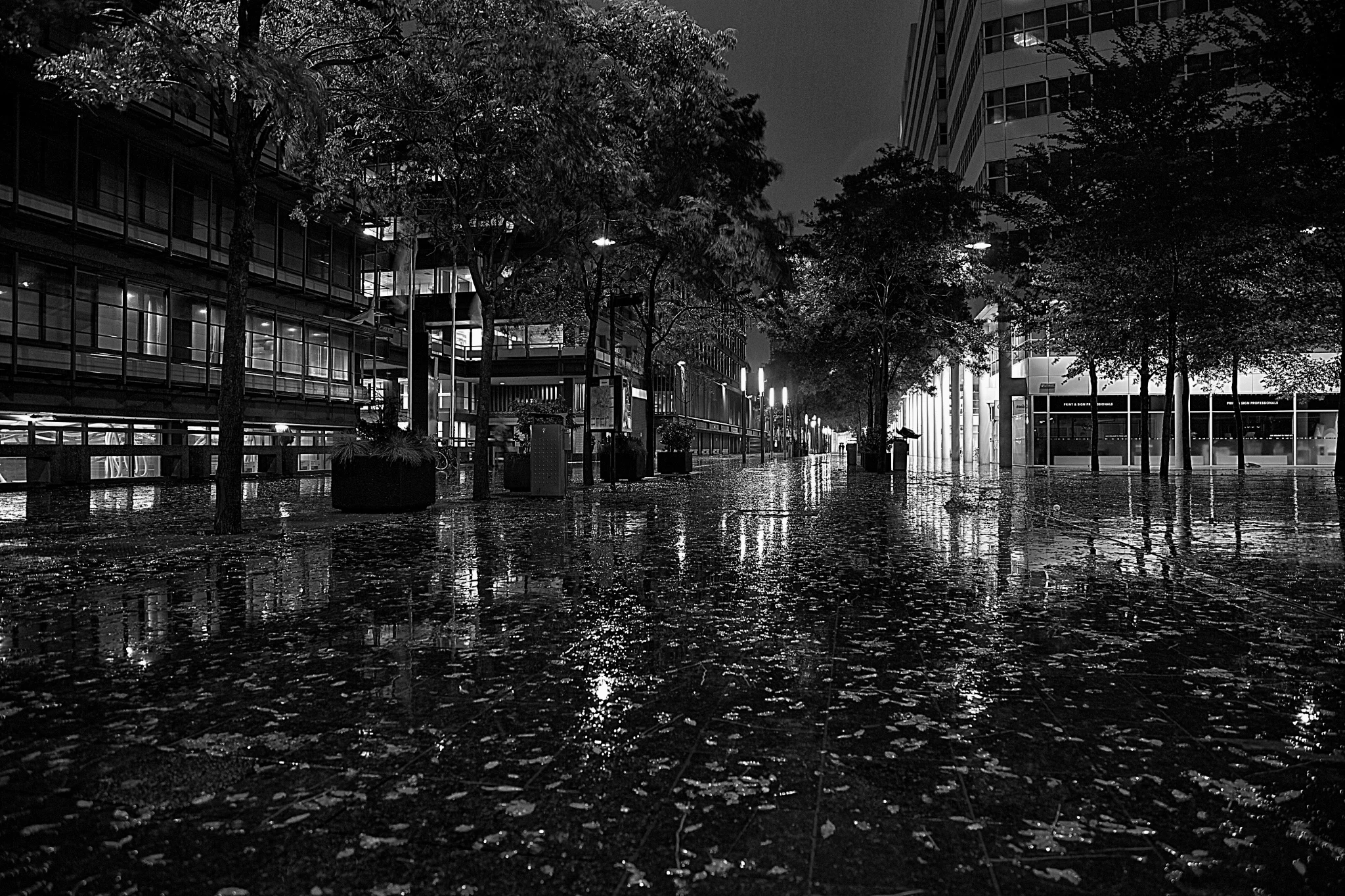 Wet and Windy