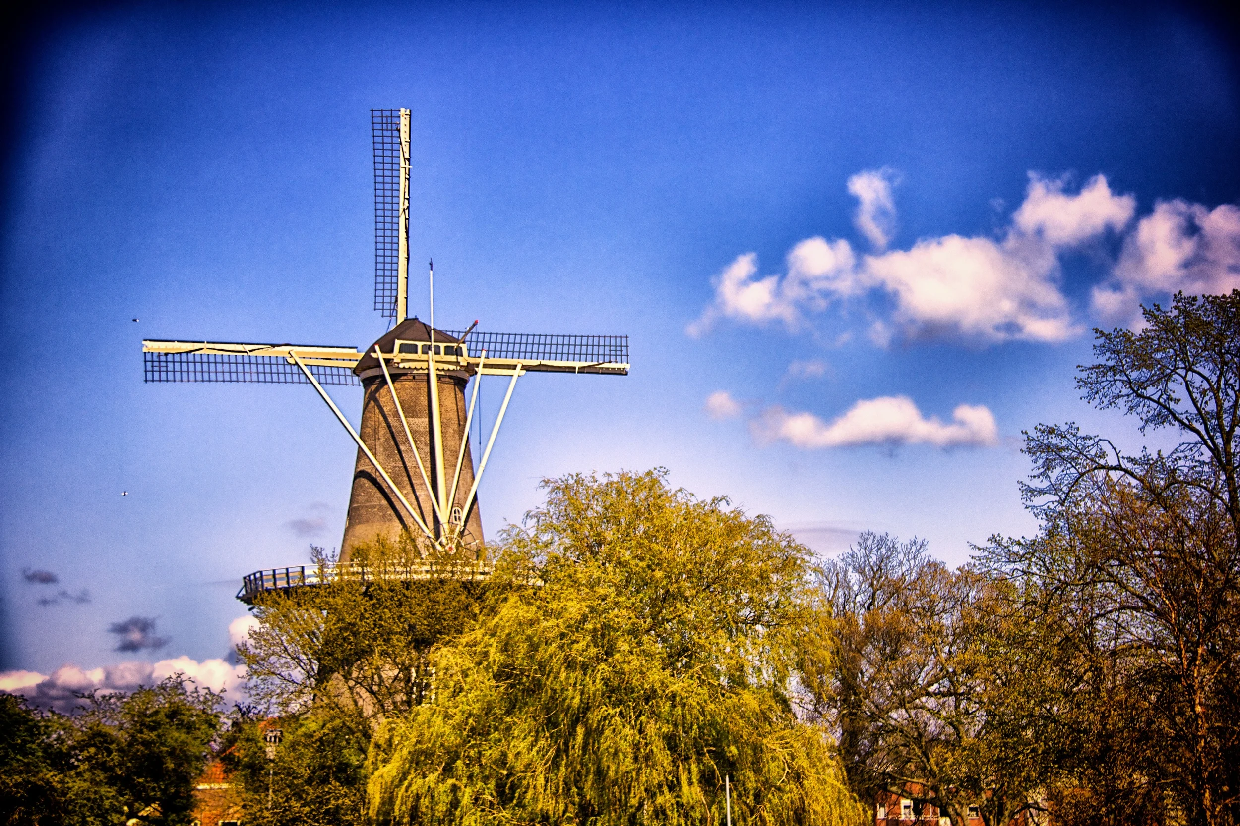 day-124---de-valk_8707236561_o.jpg