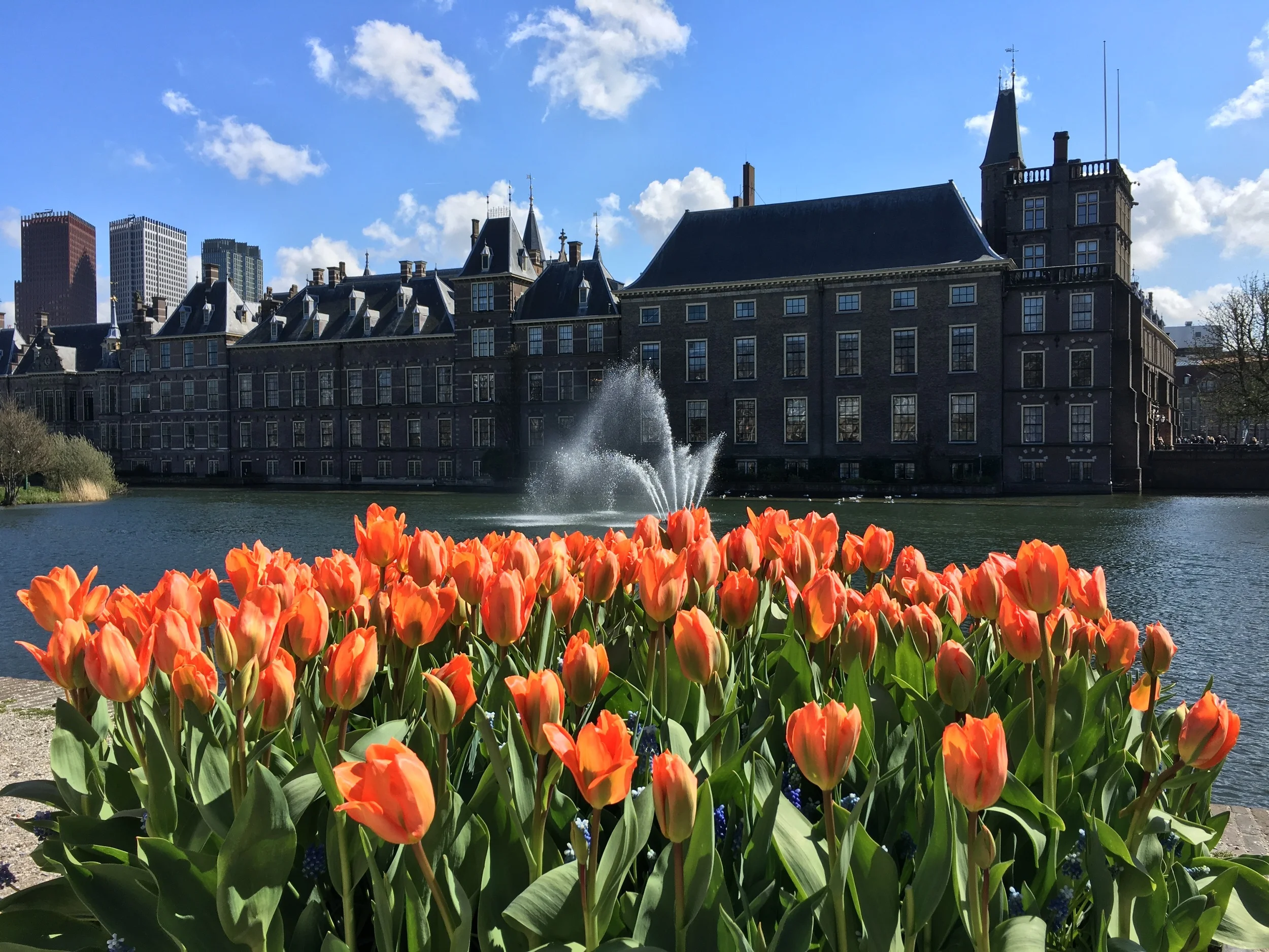 Den Haag