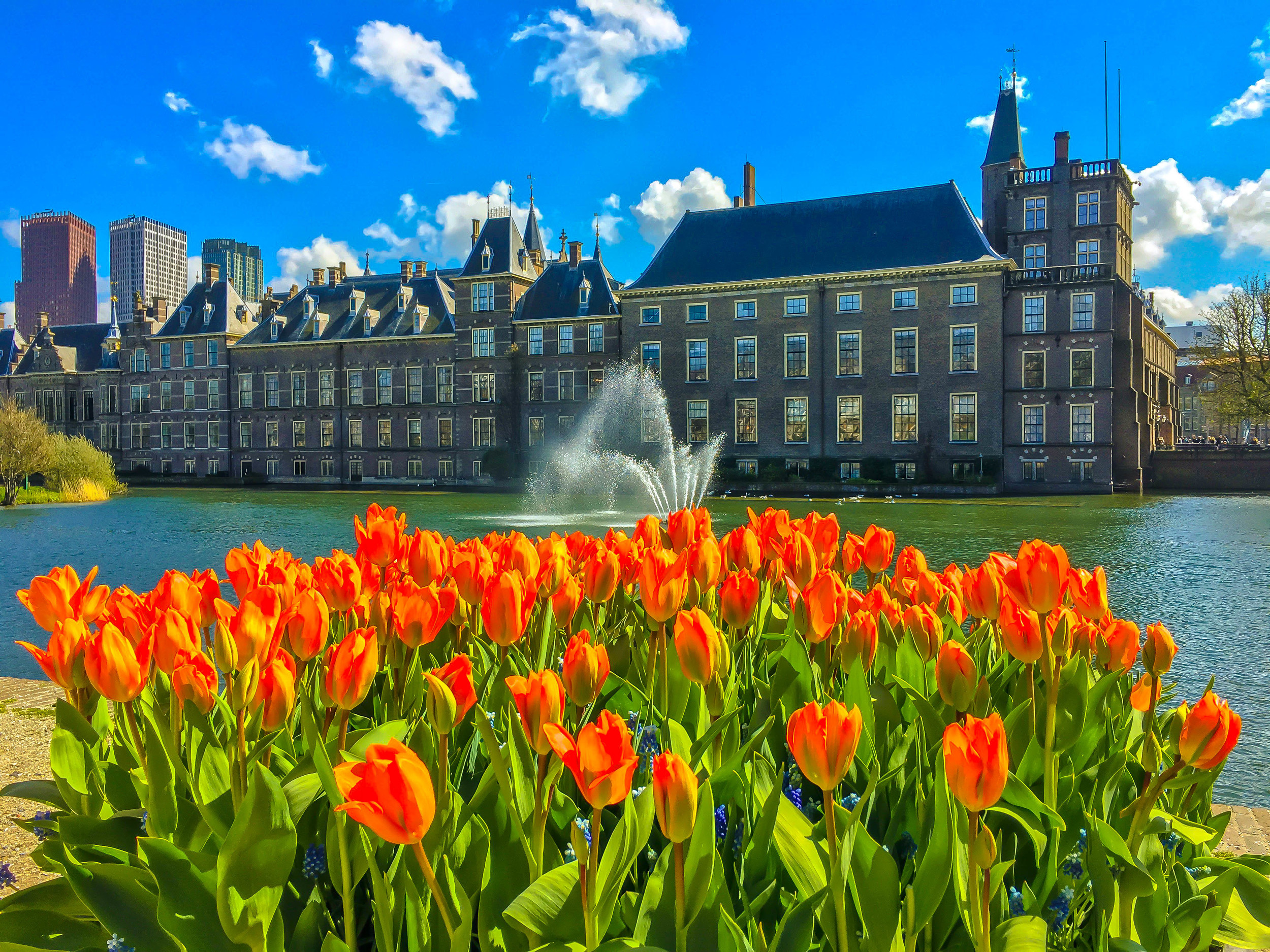 Quintessential Netherlands. Den Haag.
