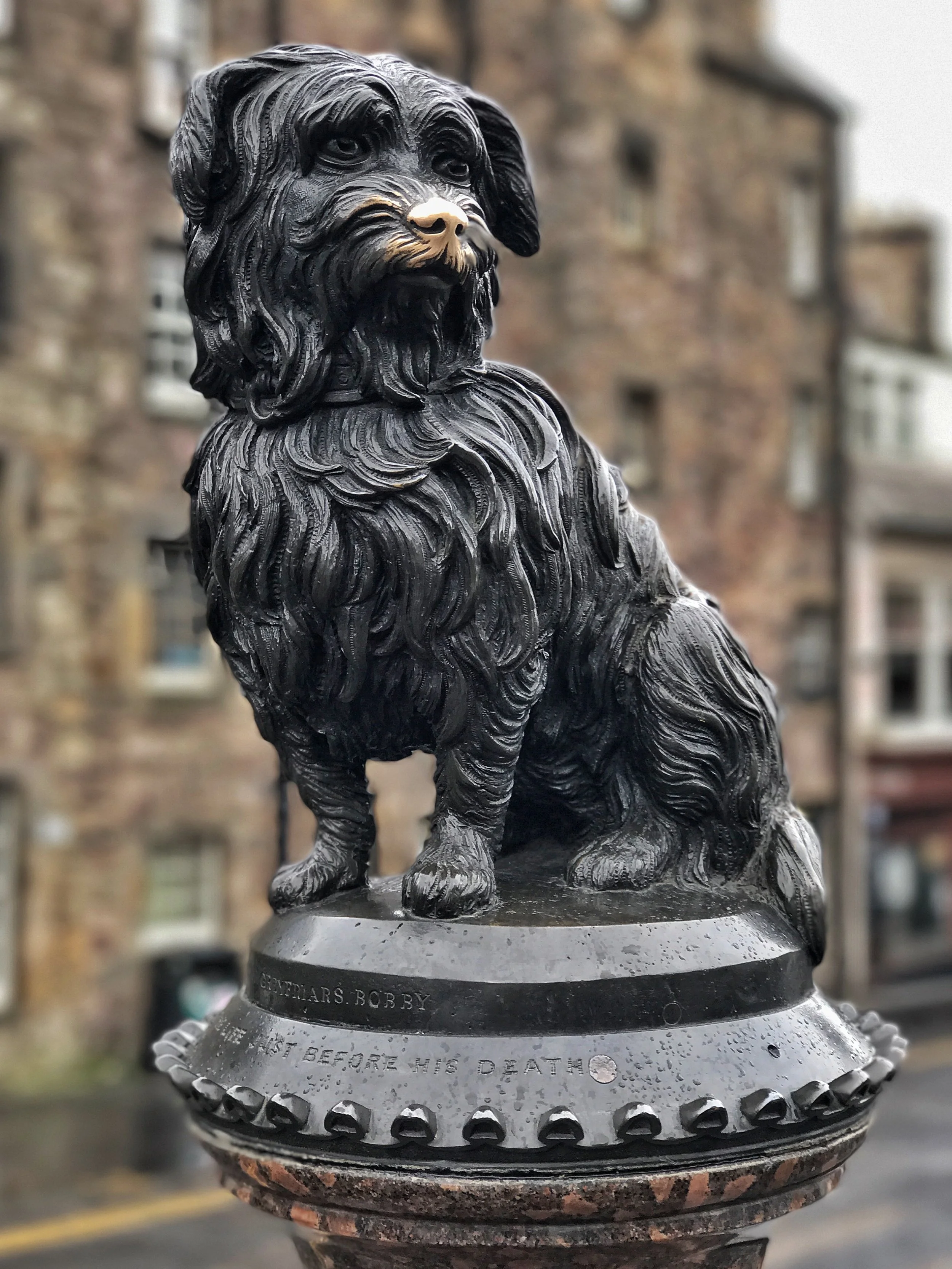 Greyfriars Bobby