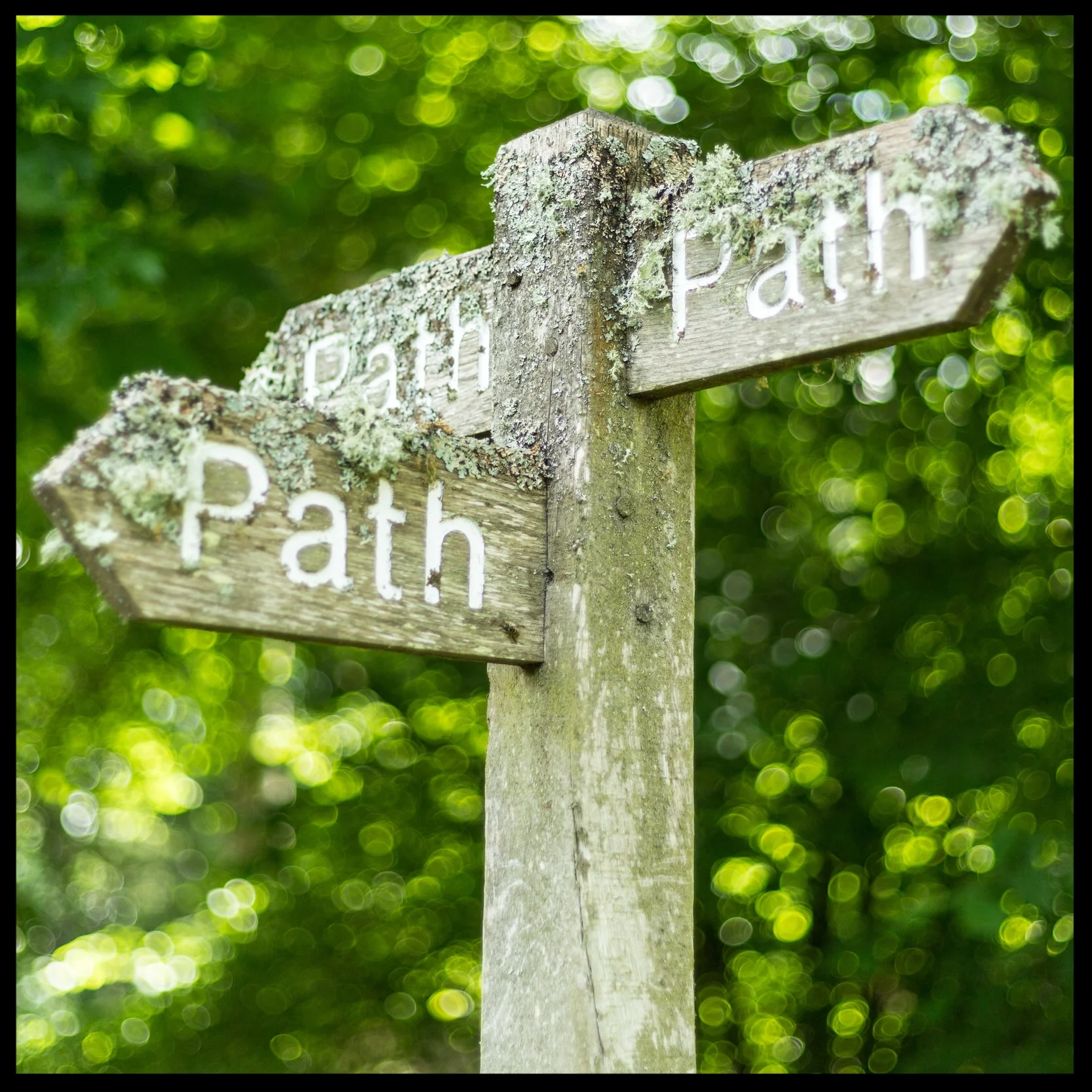 Pathways