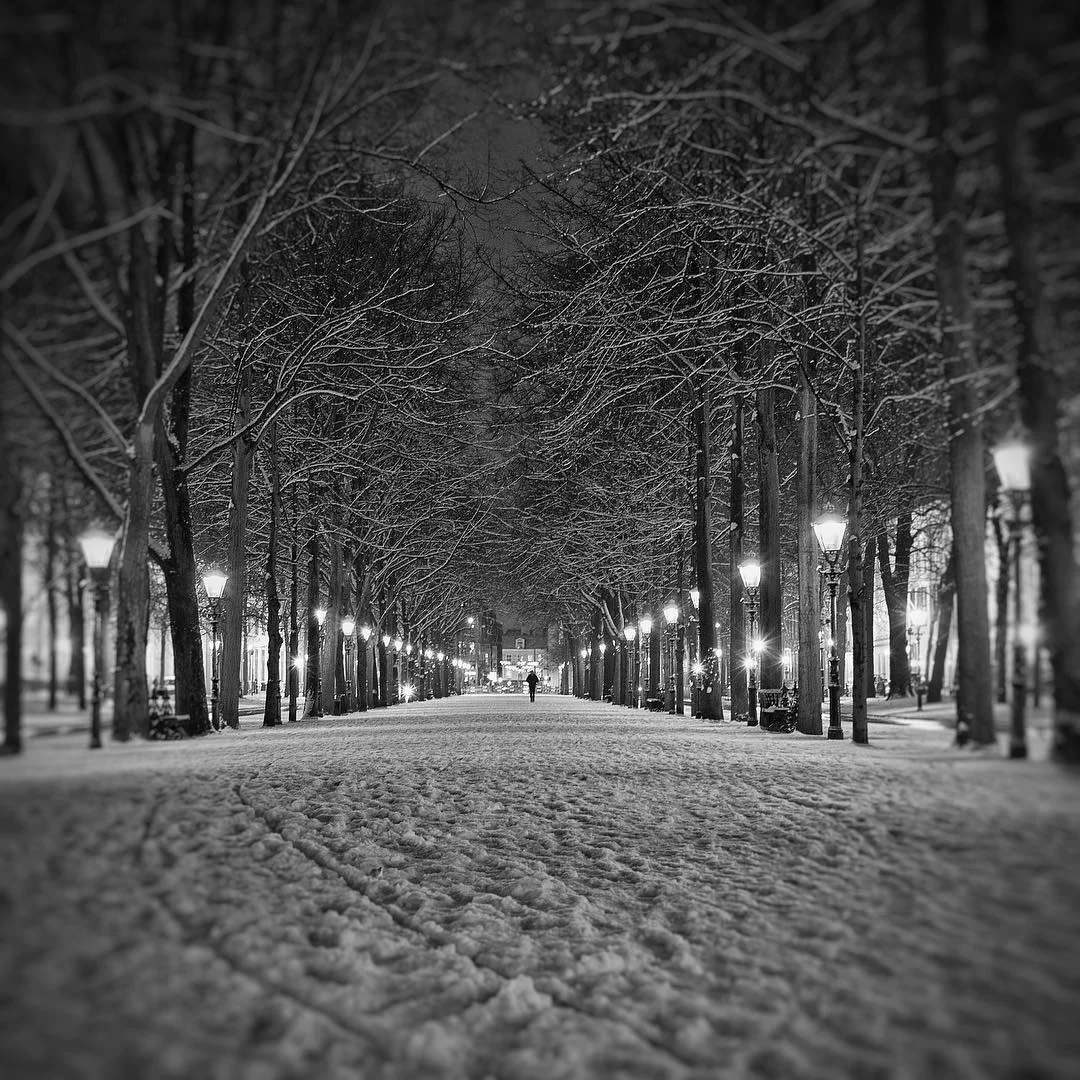 Lange Voorhout - The Hague