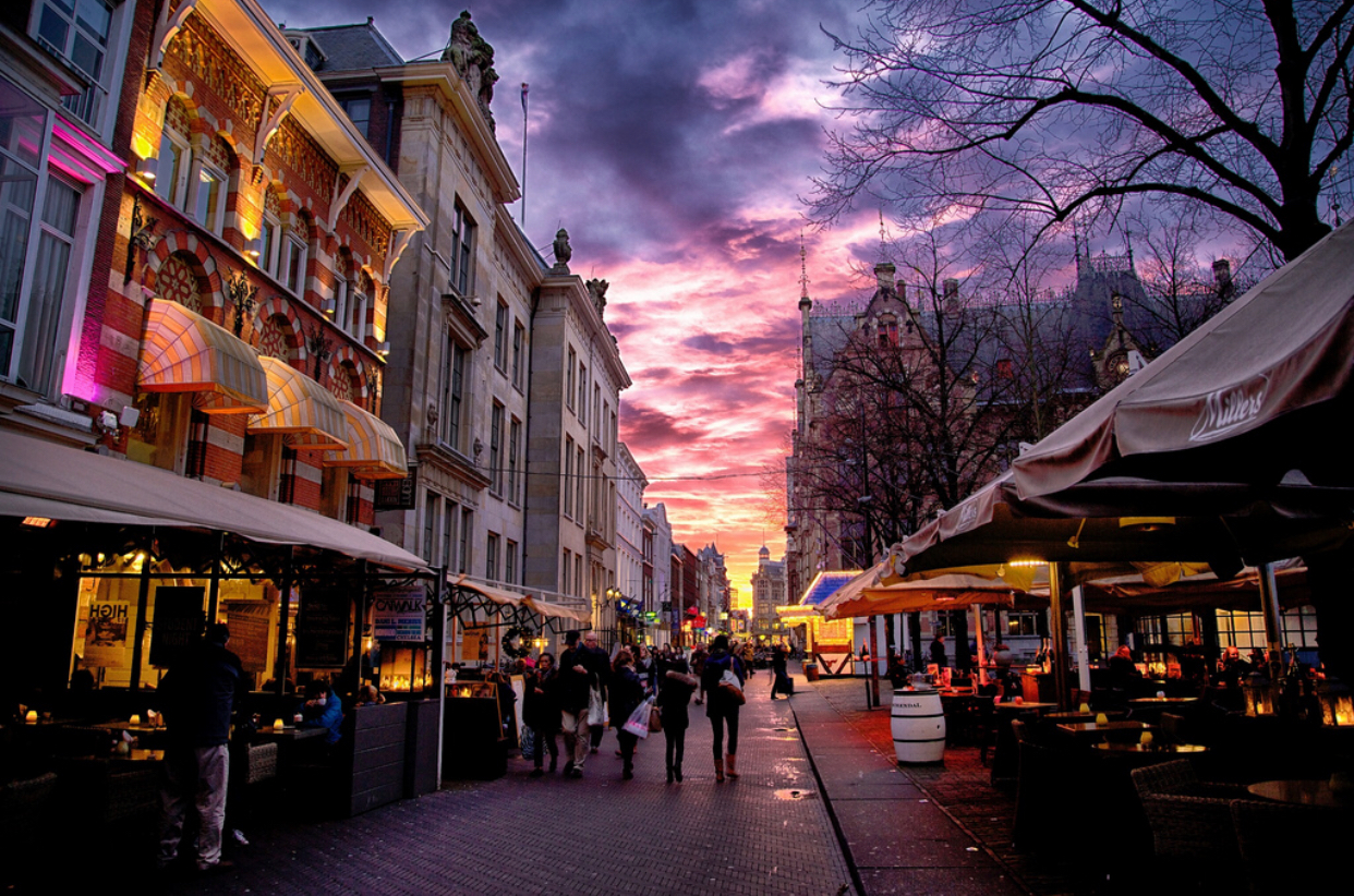 The Plein