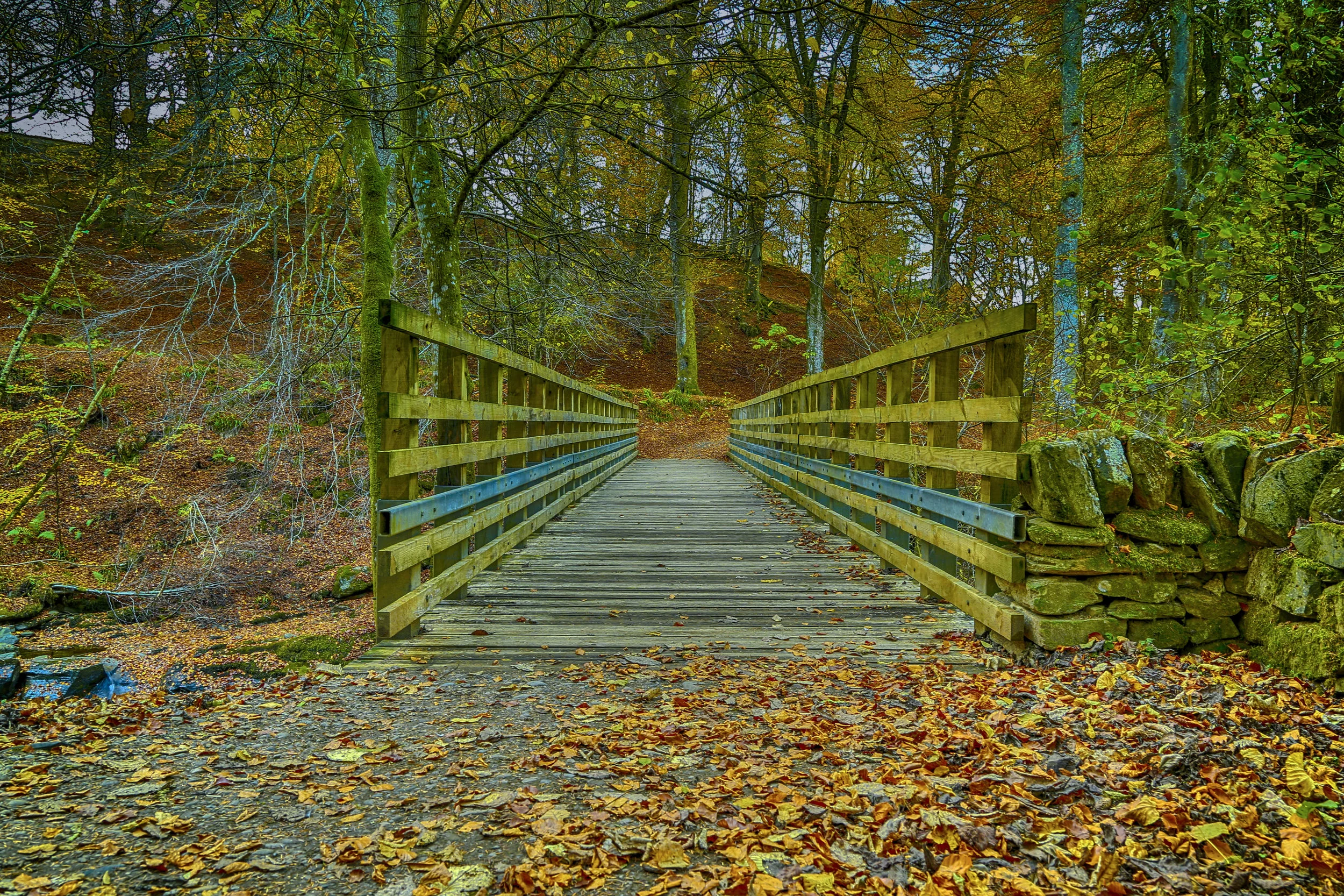 Bridge over the Moness Burn
