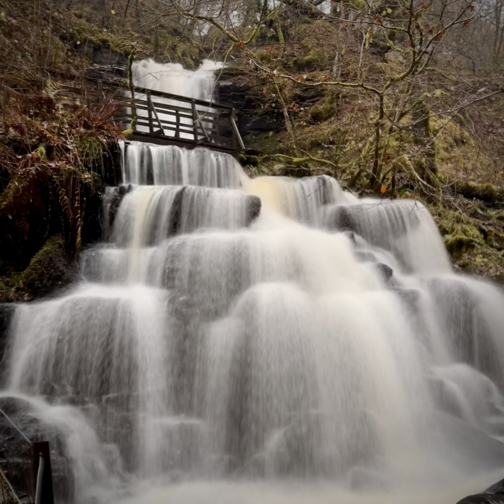 Birks o' Aberfeldy