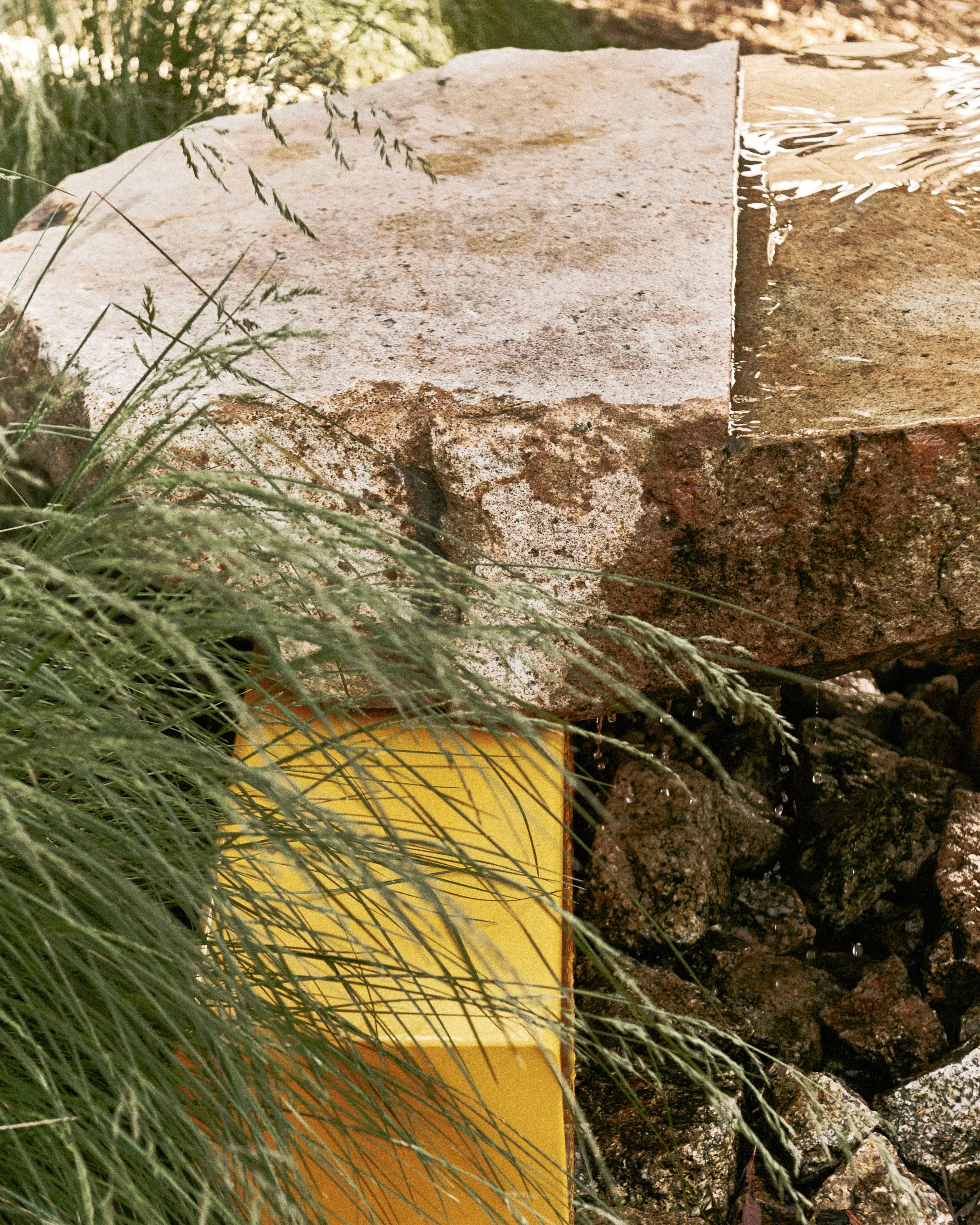 241026_AmberSpaces6308_1'8_Redo_Subj_Yellow5star_eizoexpBO_v3hideous.jpg