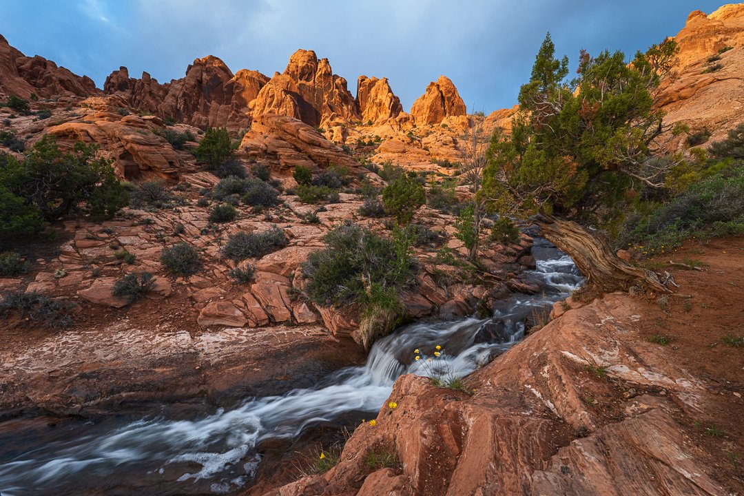 Sunset Light on Sandstone Pinnacles Above Faux Falls.jpg