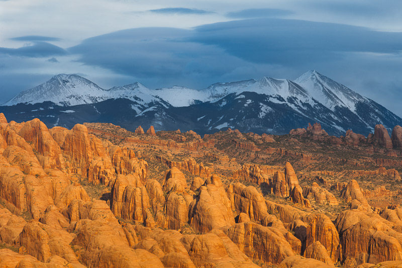 Sunset Light on Sandstone Fins and La Sal Mountains, Utah