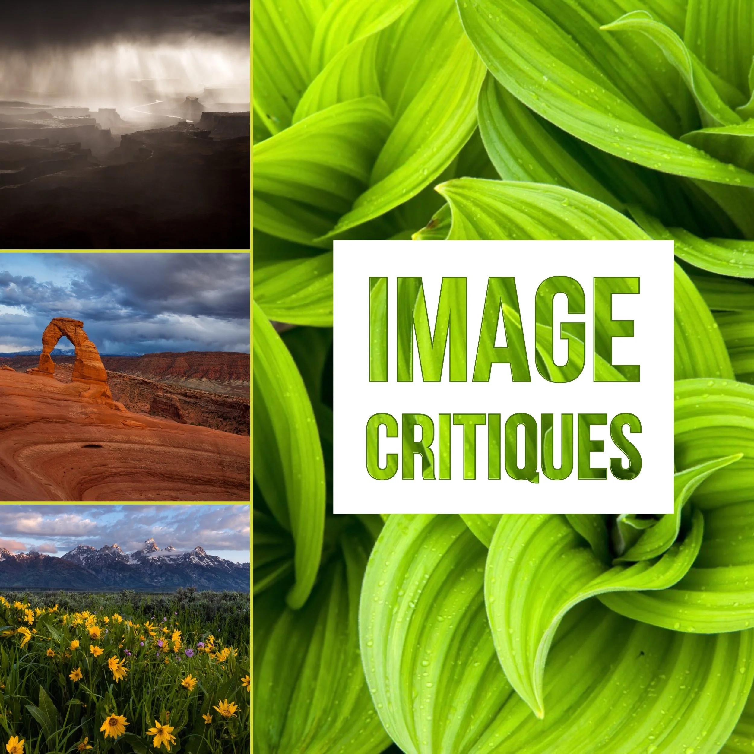 F1611F1F-62FF-4B92-880B-818774D5E656