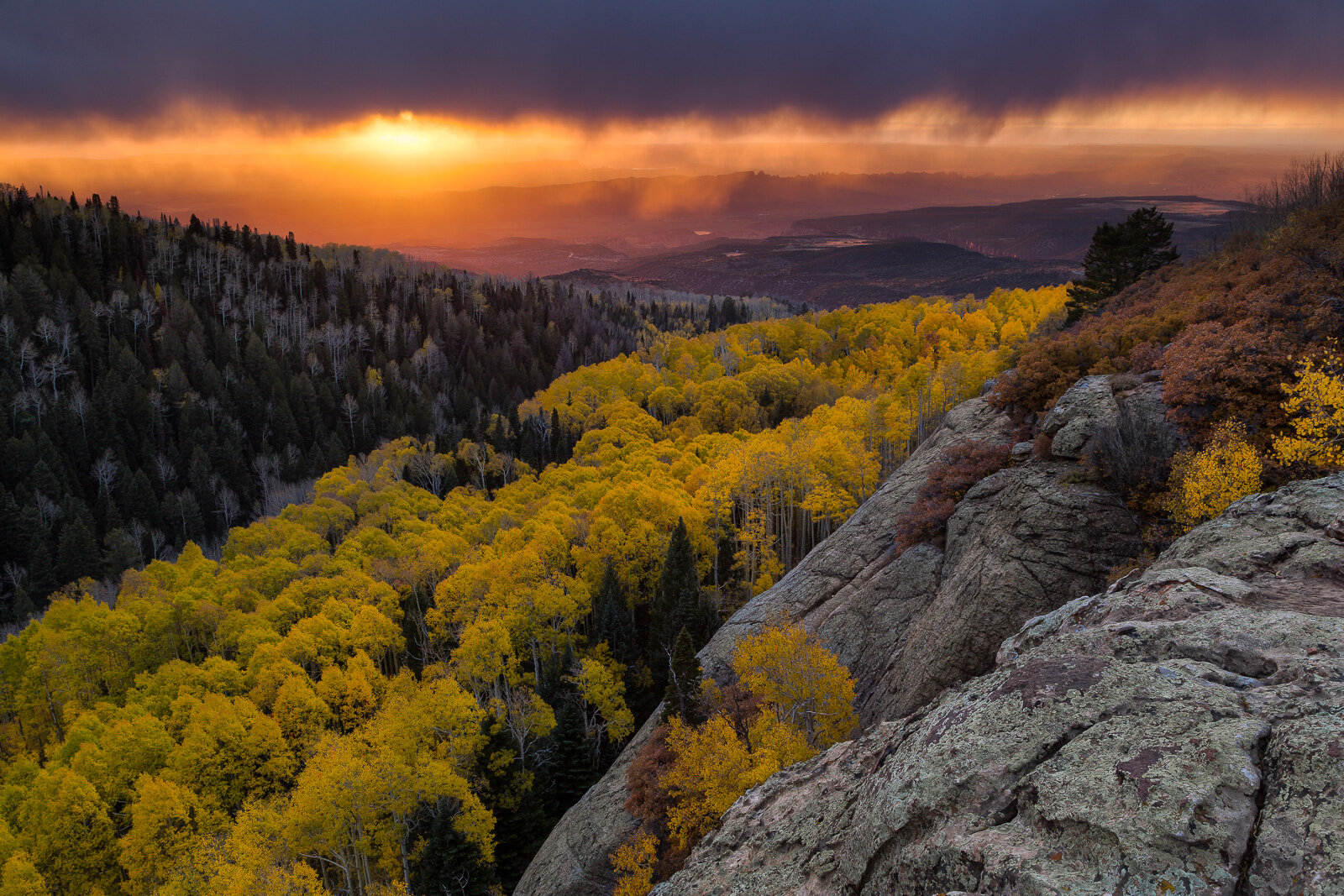 Imposing clouds loom at sunset over the Moab Fault in the desert below a canyon filled with brilliant aspen trees high in the La Sal Mountains near Moab, Utah.