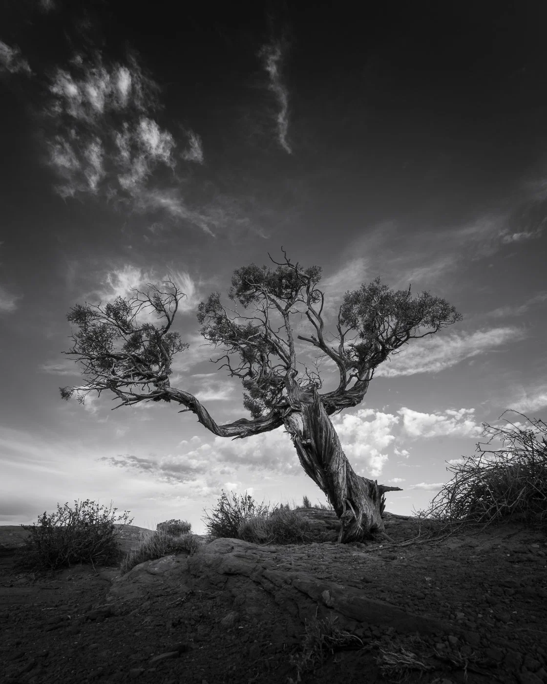 The One That Almost Got Away: The Case For Not Deleting Images in the Field