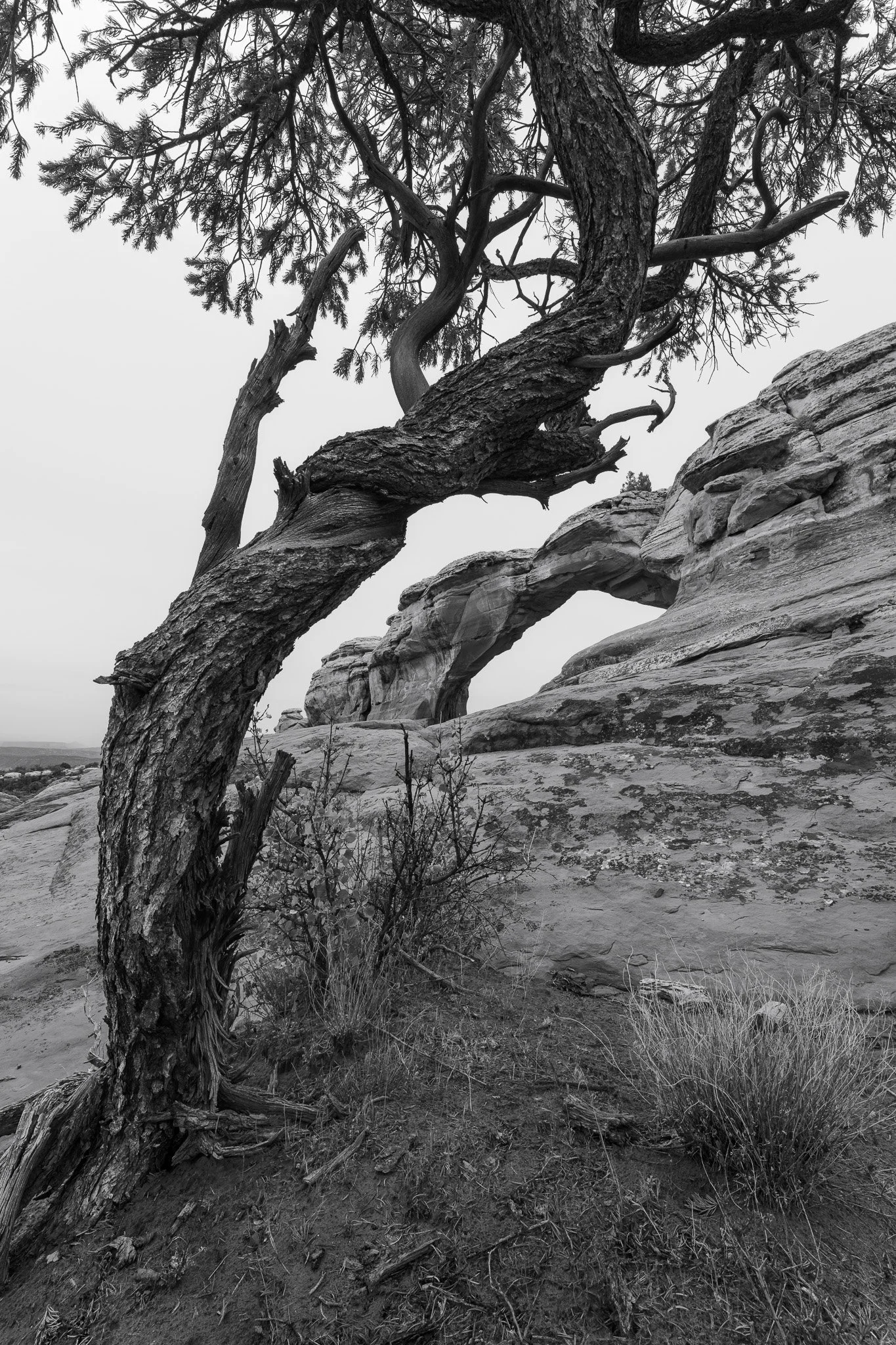 The Art of Intentional Composition: Framing Broken Arch