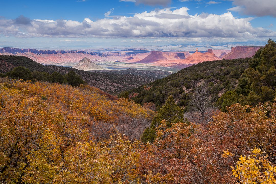 Autumn Foliage Above Castle Valley-2.jpg