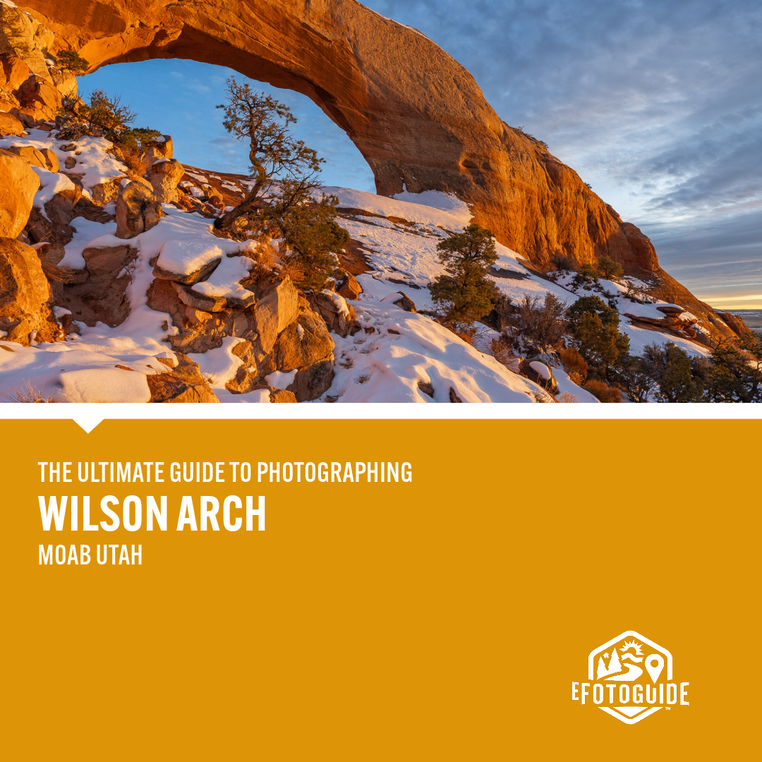 EFG WILSON ARCH TILE (1).png