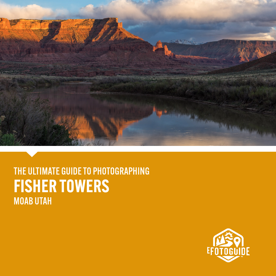EFG FISHER TOWERS TILE.png