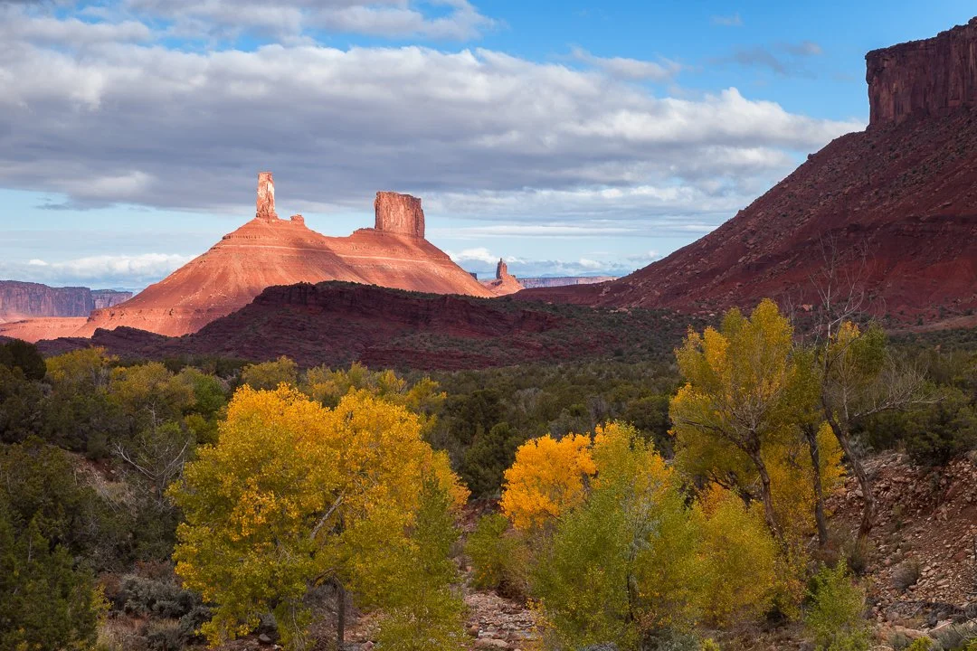 Cottonwood Trees in Fall Below Castleton Tower.jpg
