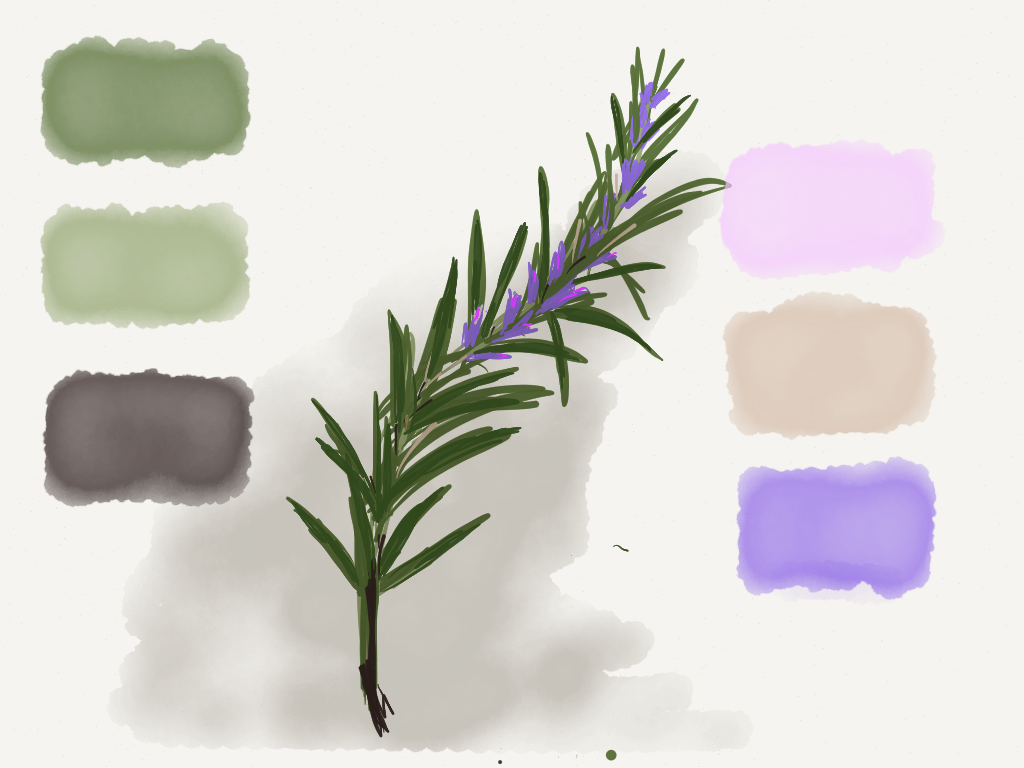 Colour pallet 'Rosemary'